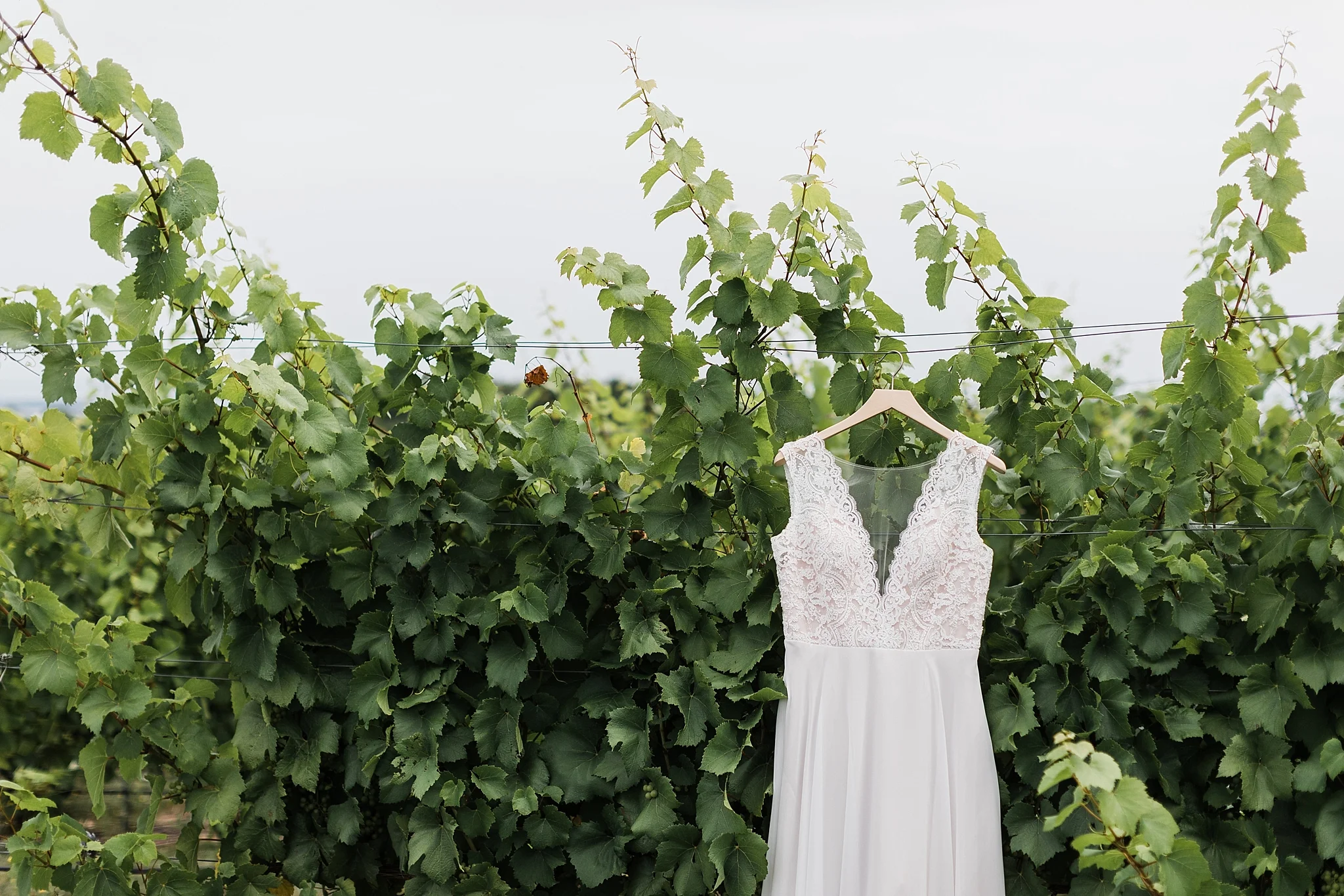 Verterra Vineyards Wedding, Traverse City Michigan photographer Rockhill Studio