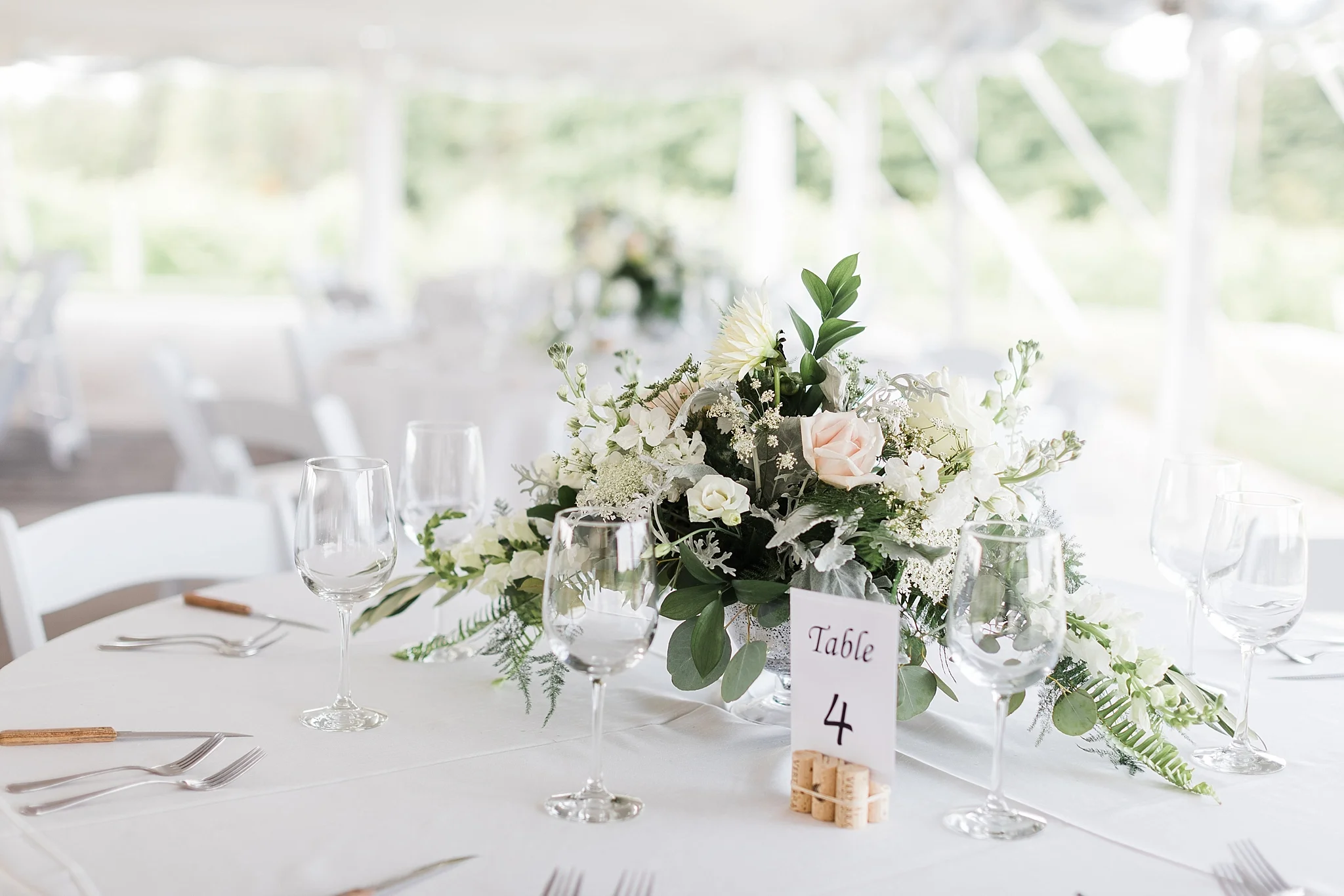 Verterra Vineyards Wedding, Traverse City Michigan photographer Rockhill Studio