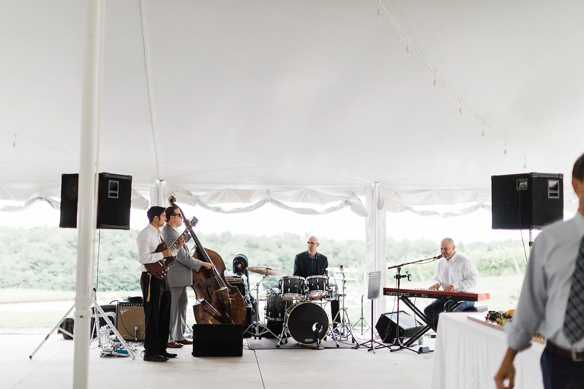 Verterra Vineyards Wedding, Traverse City Michigan photographer Rockhill Studio