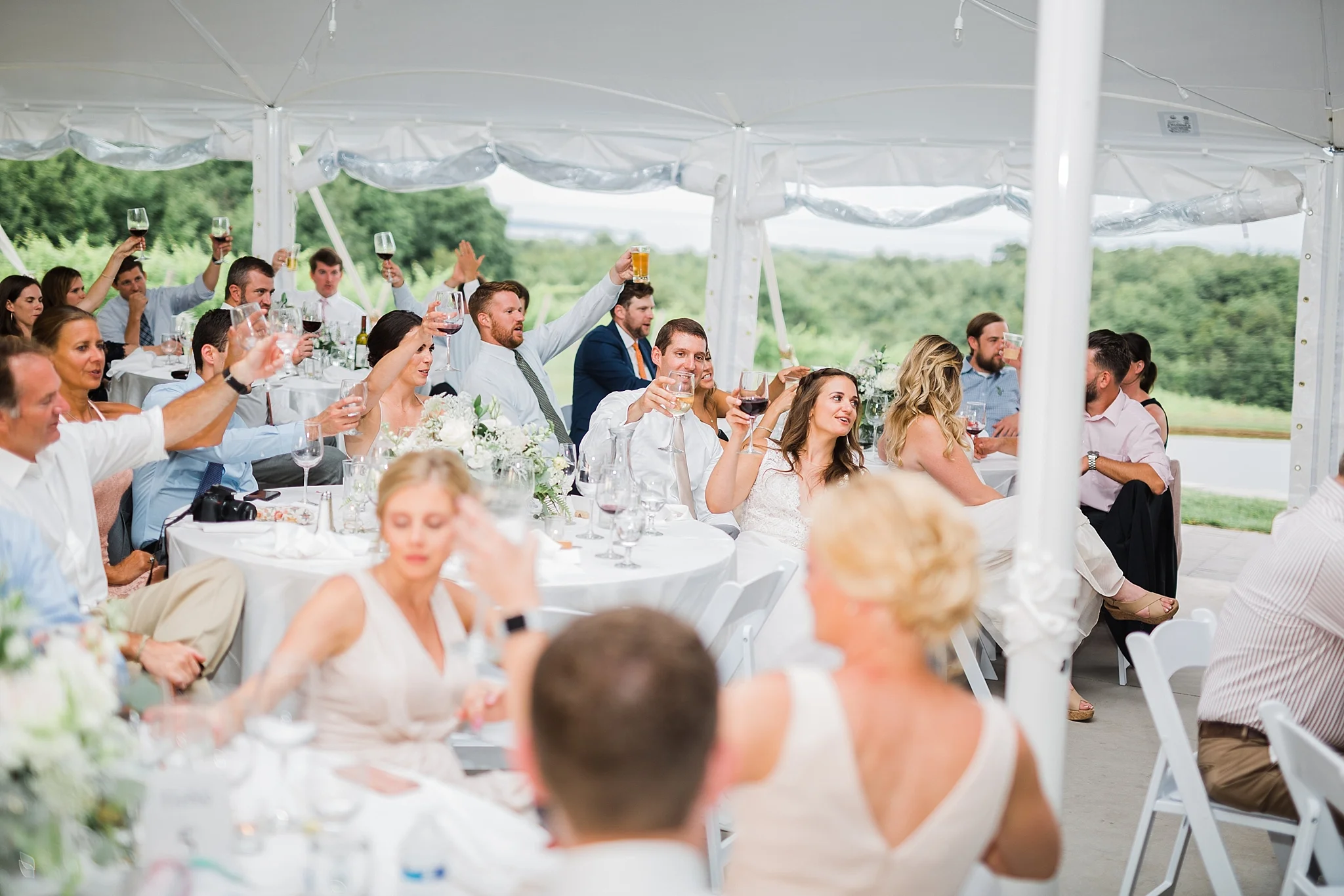 Verterra Vineyards Wedding, Traverse City Michigan photographer Rockhill Studio