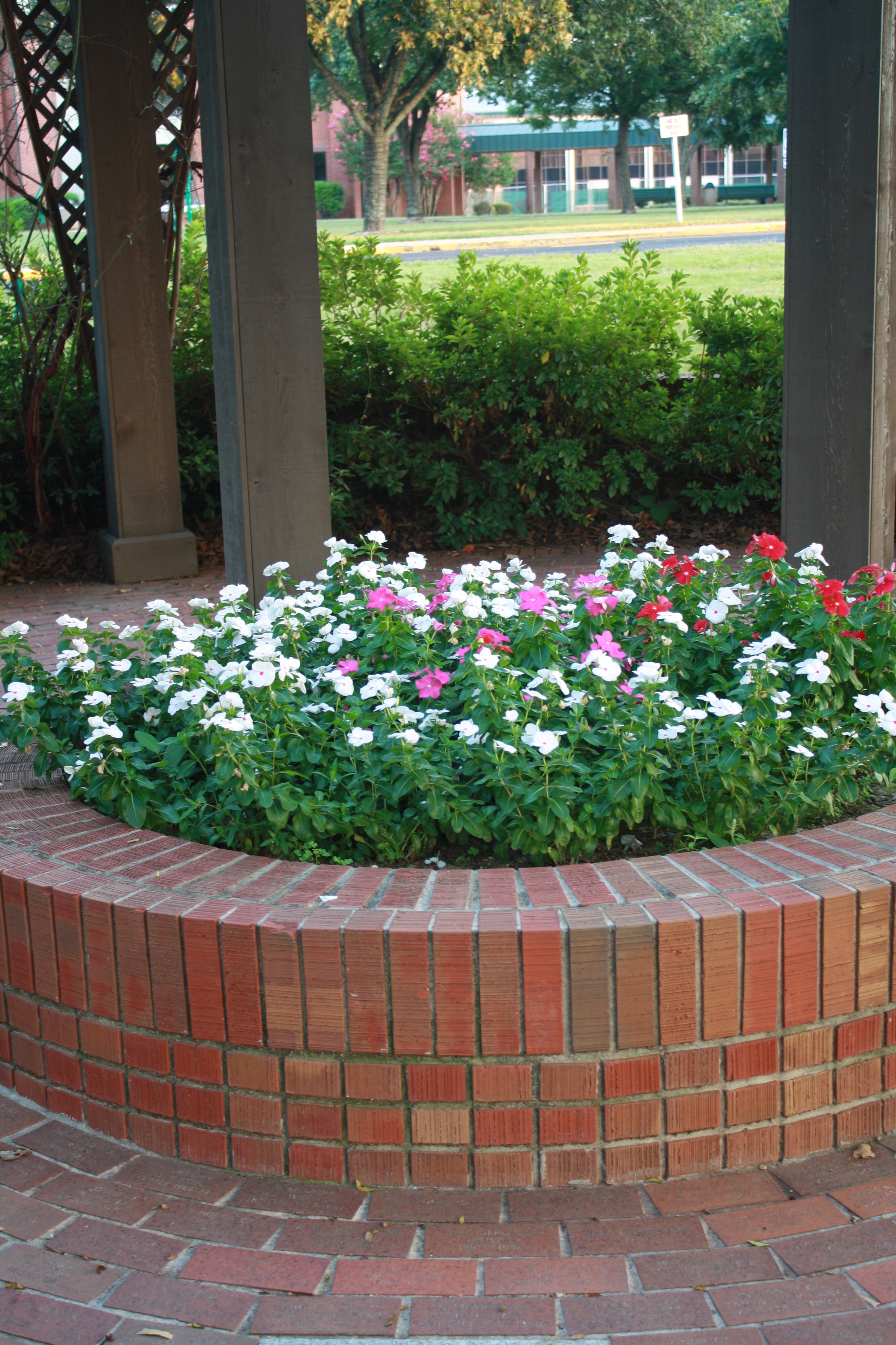 Courtney aug 2012 001.JPG