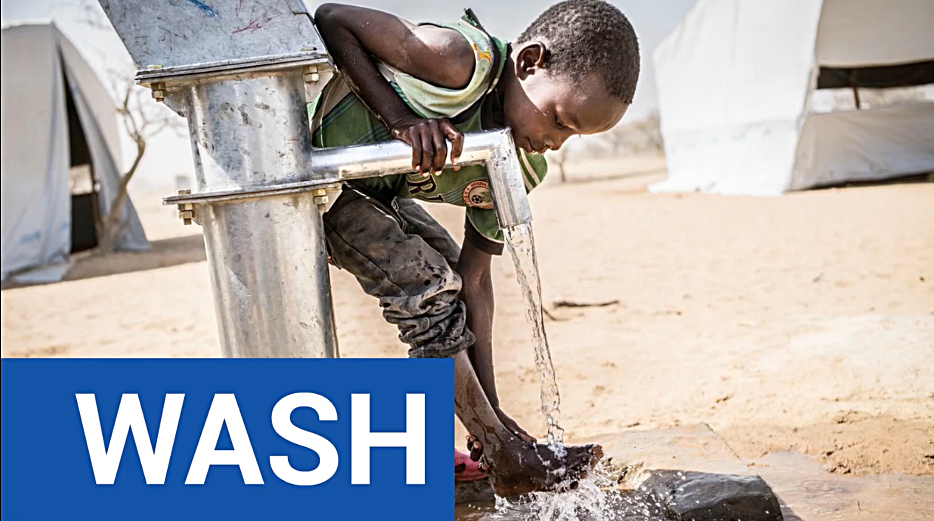 Data Companion Animation on WASH