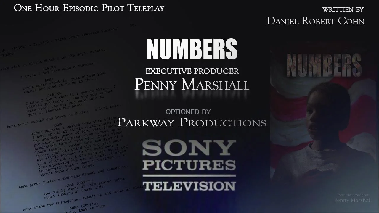    "...probably the best dramatic TV pilot script I've&nbsp;ever read"   --  Kinga Suto, V.P. Development&nbsp;Parkway Productions  