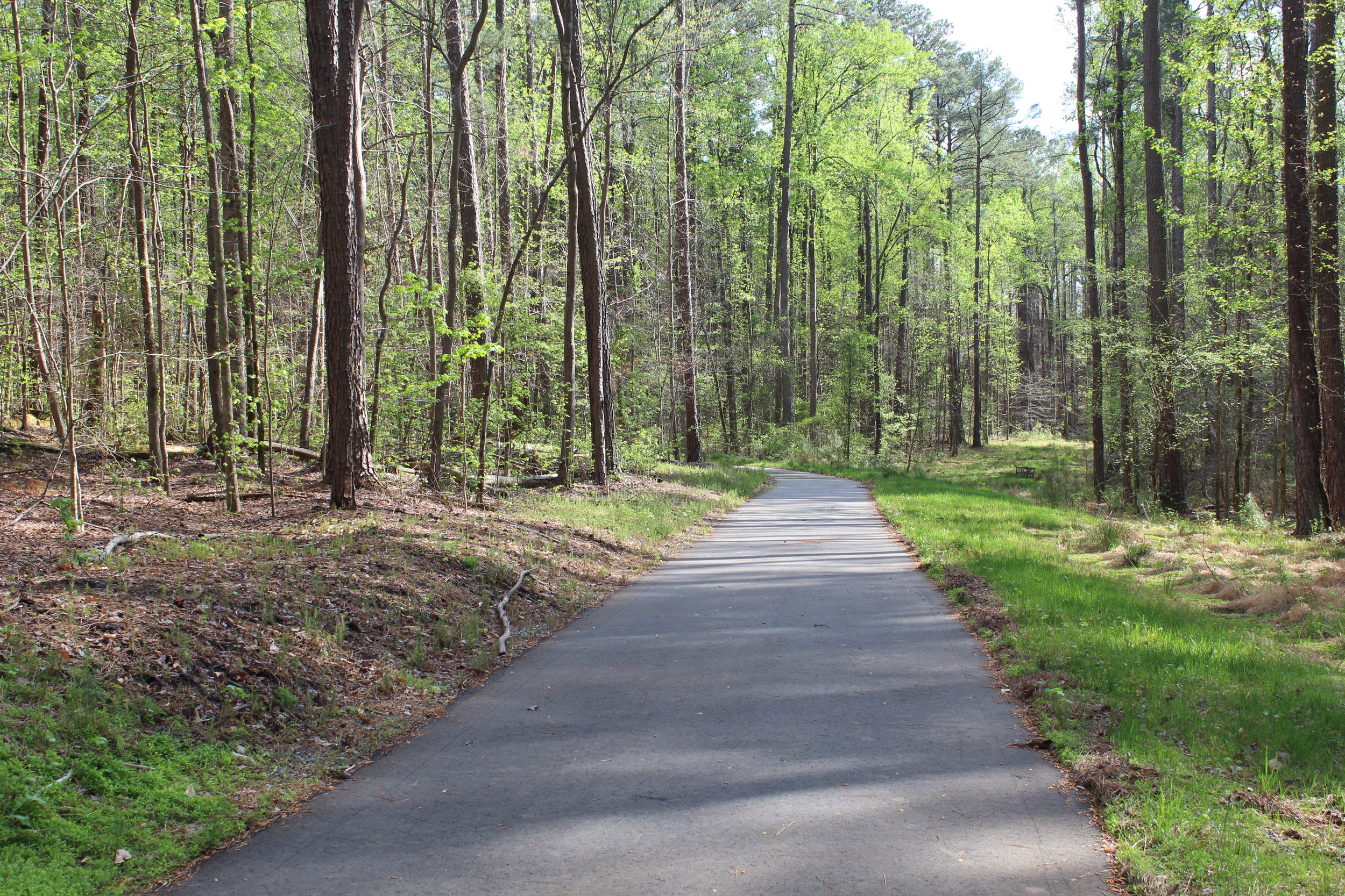 Leesville Park Greenway