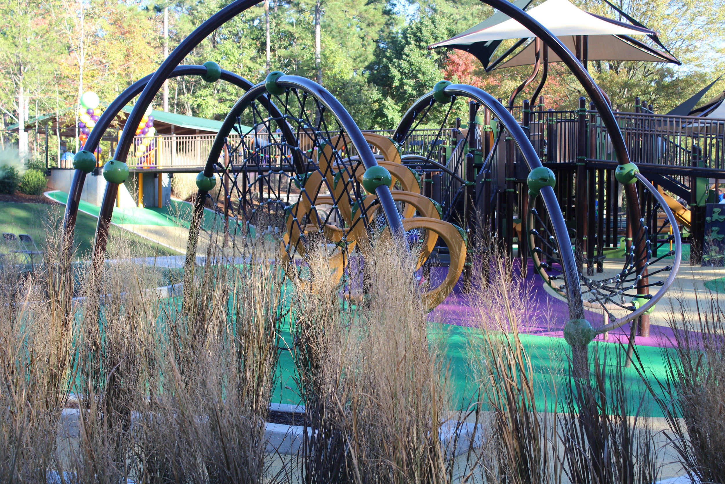 Sassafras All Children's Playground