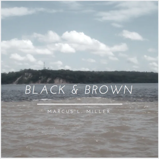 blackandbrown.jpg