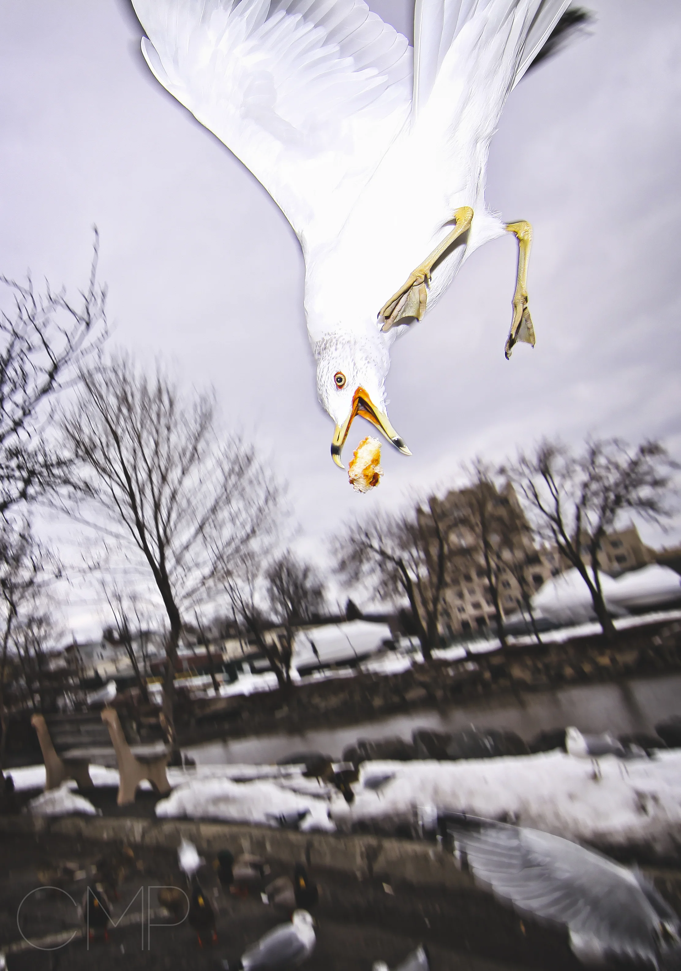 travel034.jpg