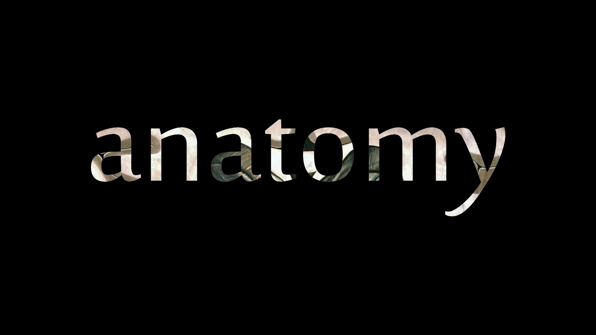 Anatomey - Film by: Marie Craven