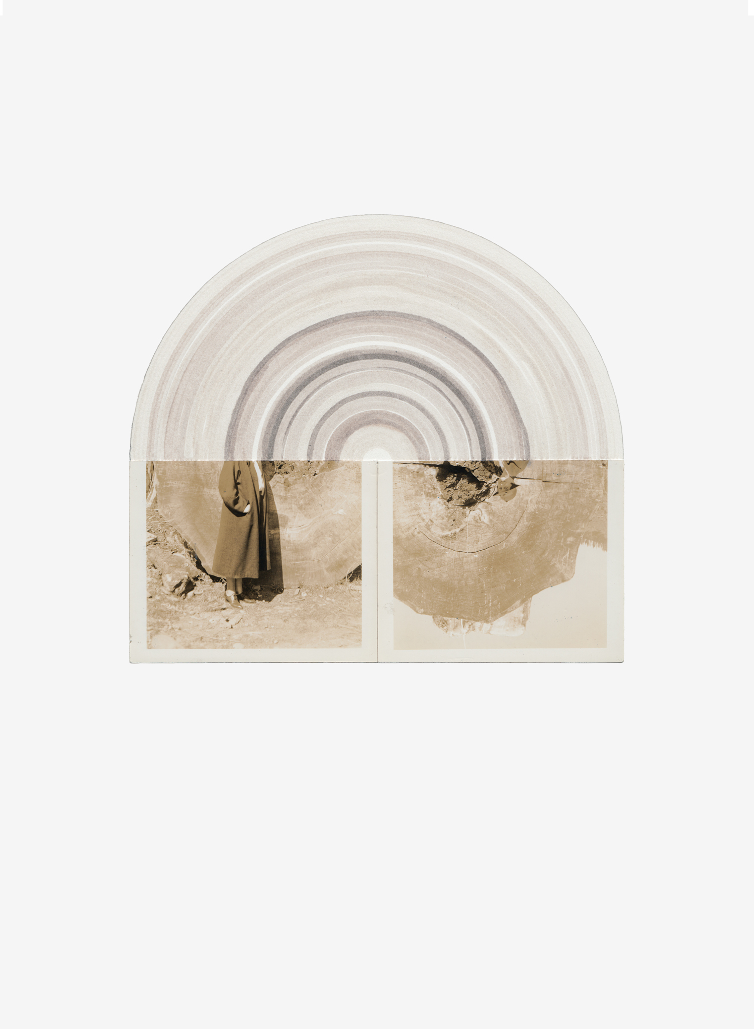 Tree Ring