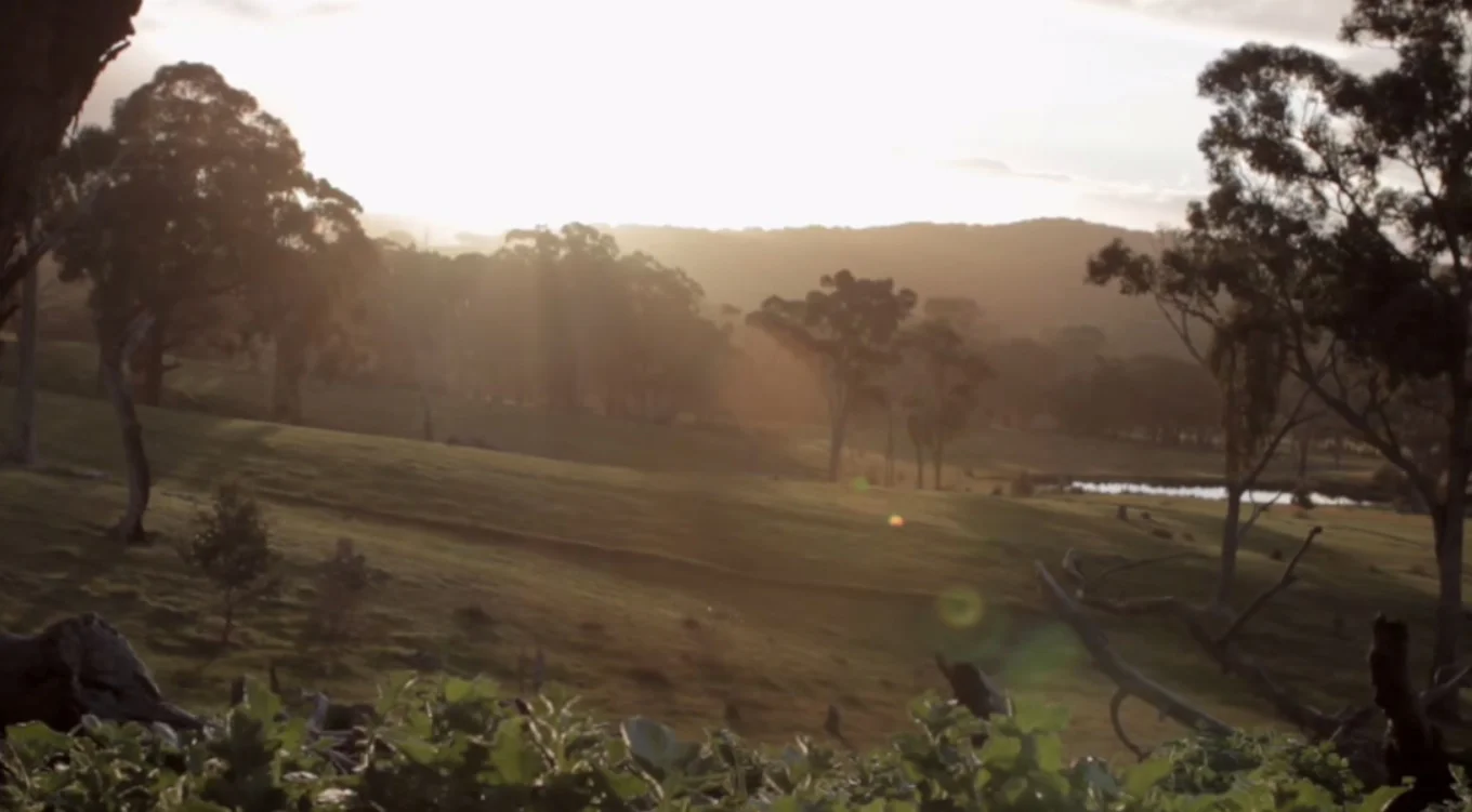 COCOROSIE - GALLOWS (OFFICIAL VIDEO)