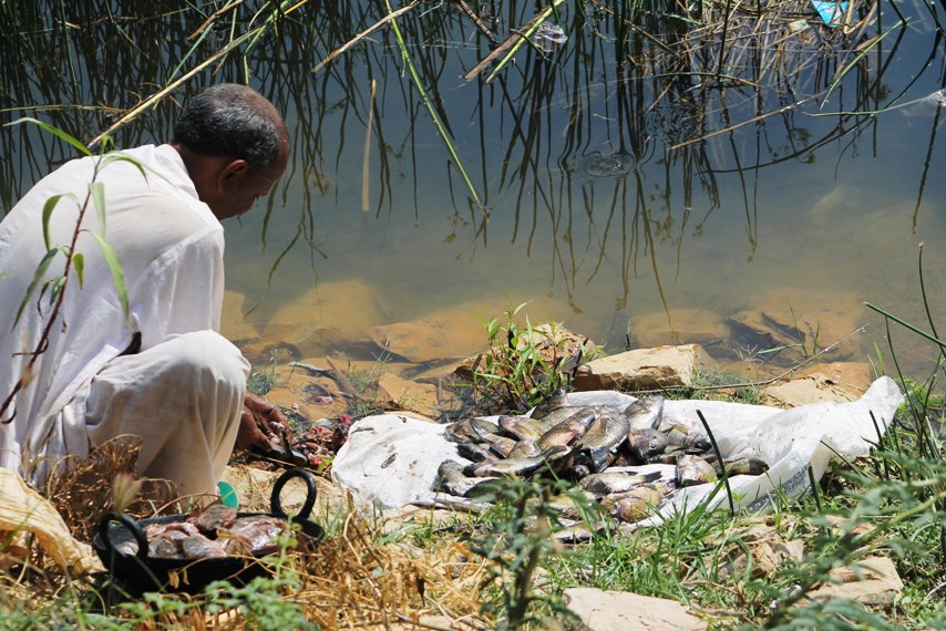 A fisherman in Karachi preparing his catch for the day.