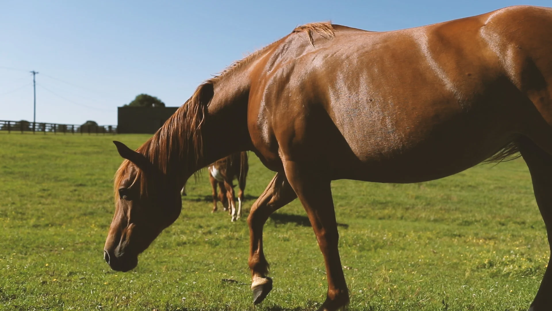 Vintage, Rustic Romance at The White Magnolia // Callie & Charlie