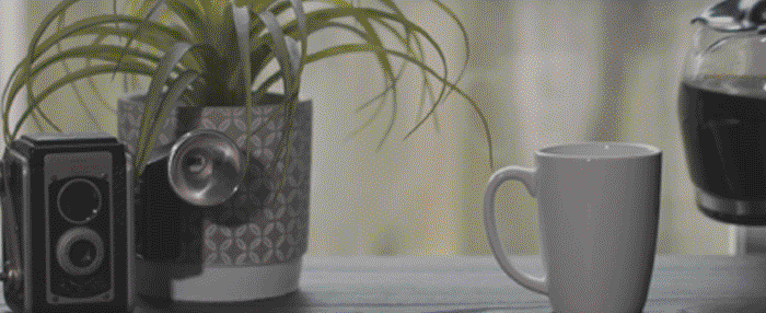 Coffee_Web.gif