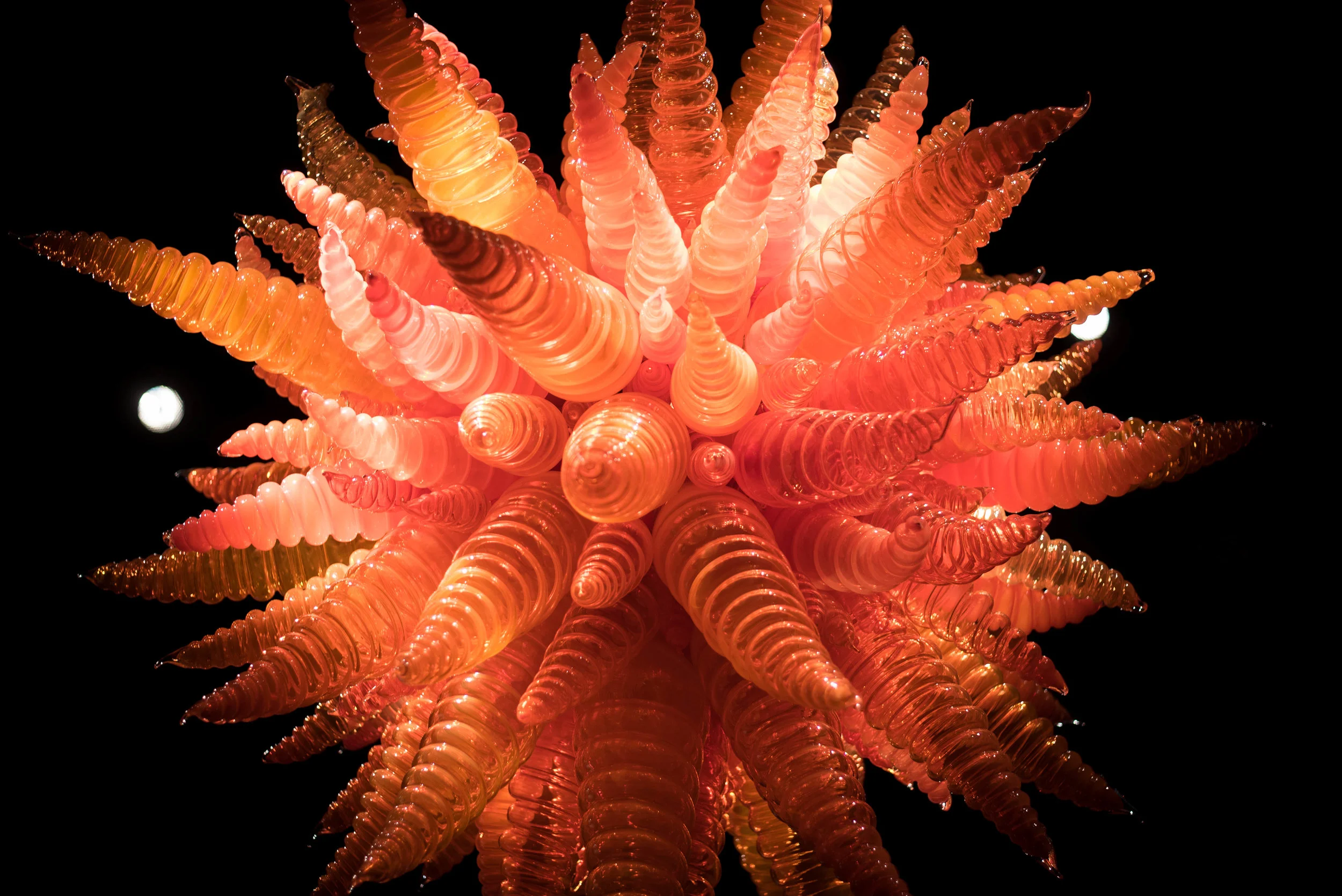 glass-7.jpg