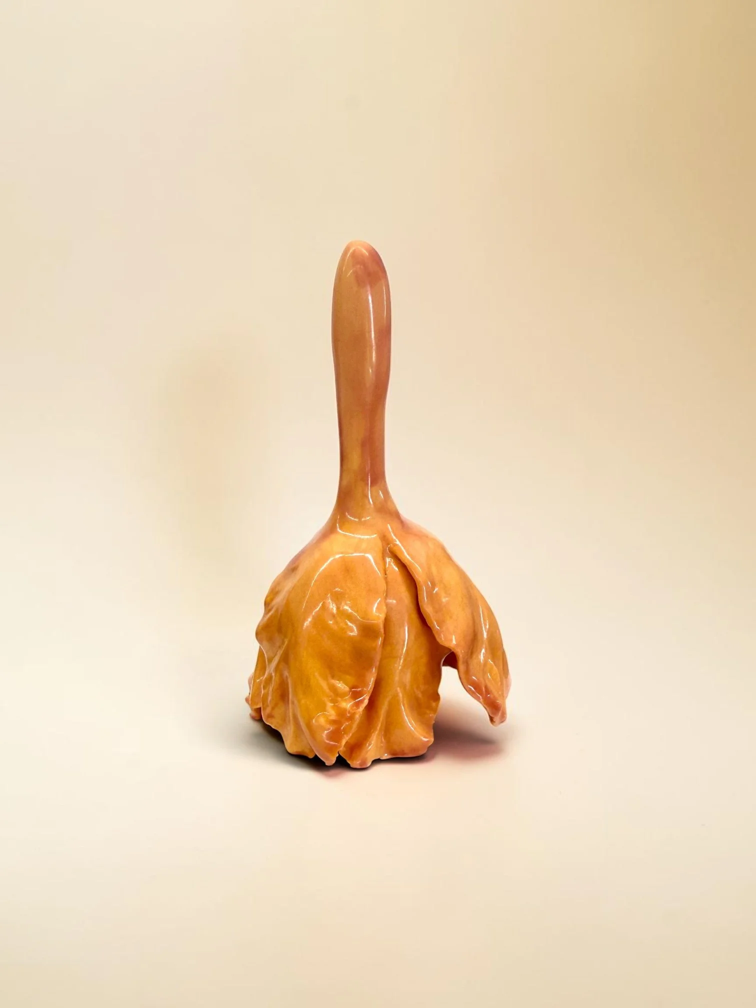 6a.jpg