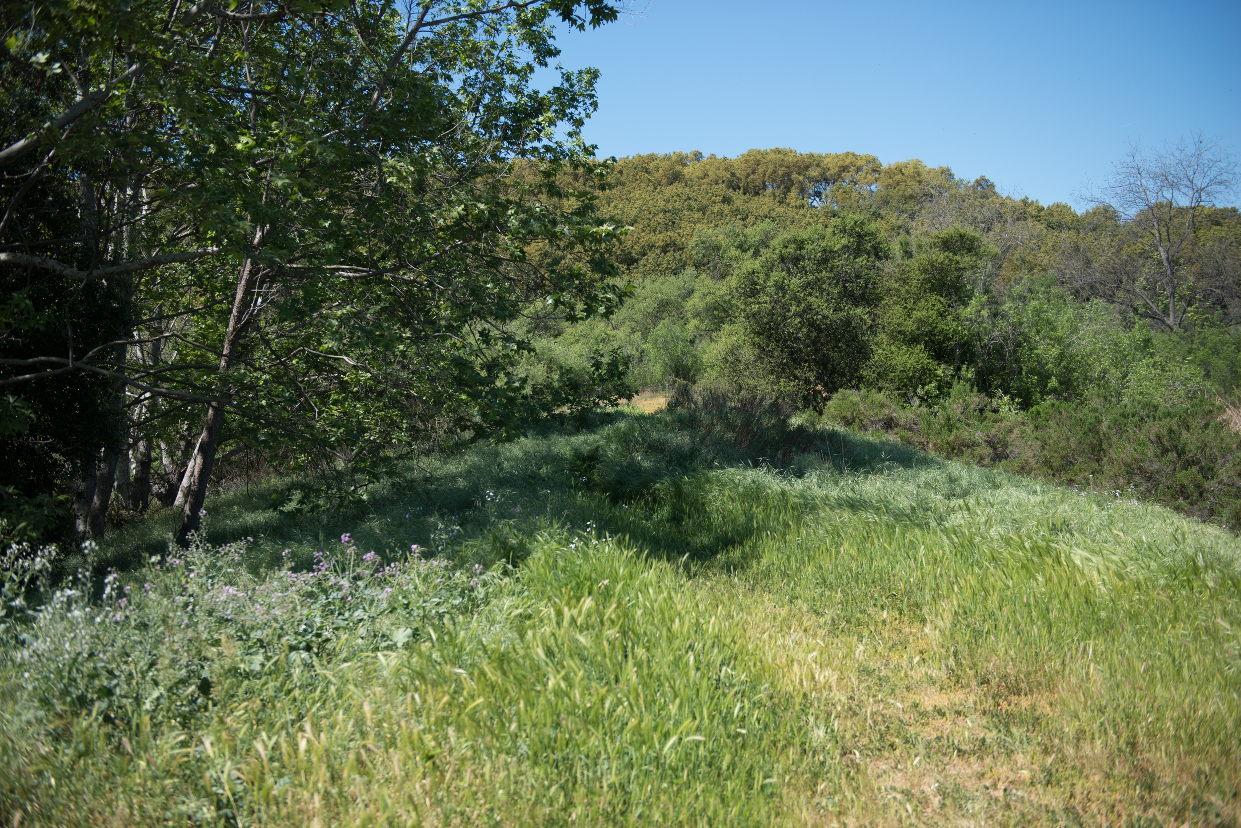 KJ0_7263.jpg
