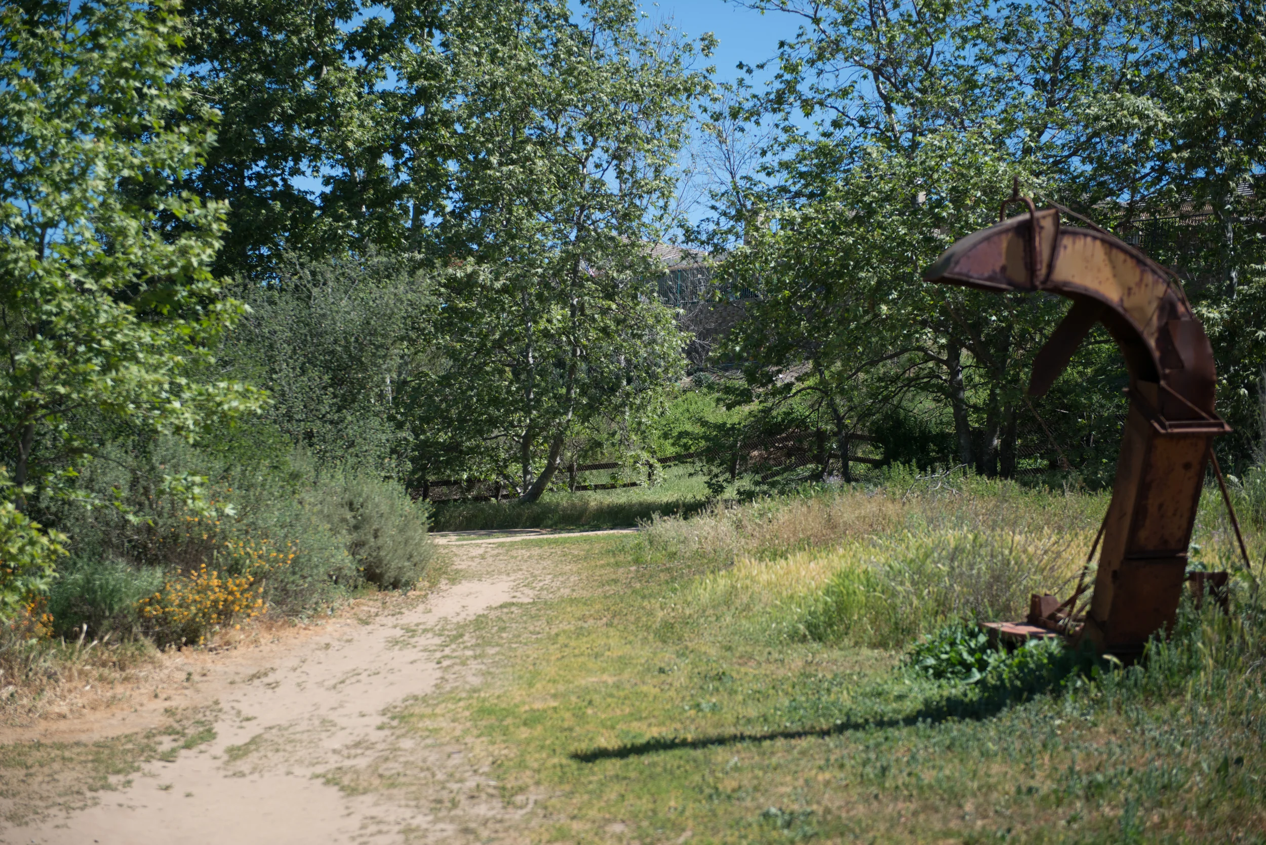 KJ0_7264.jpg