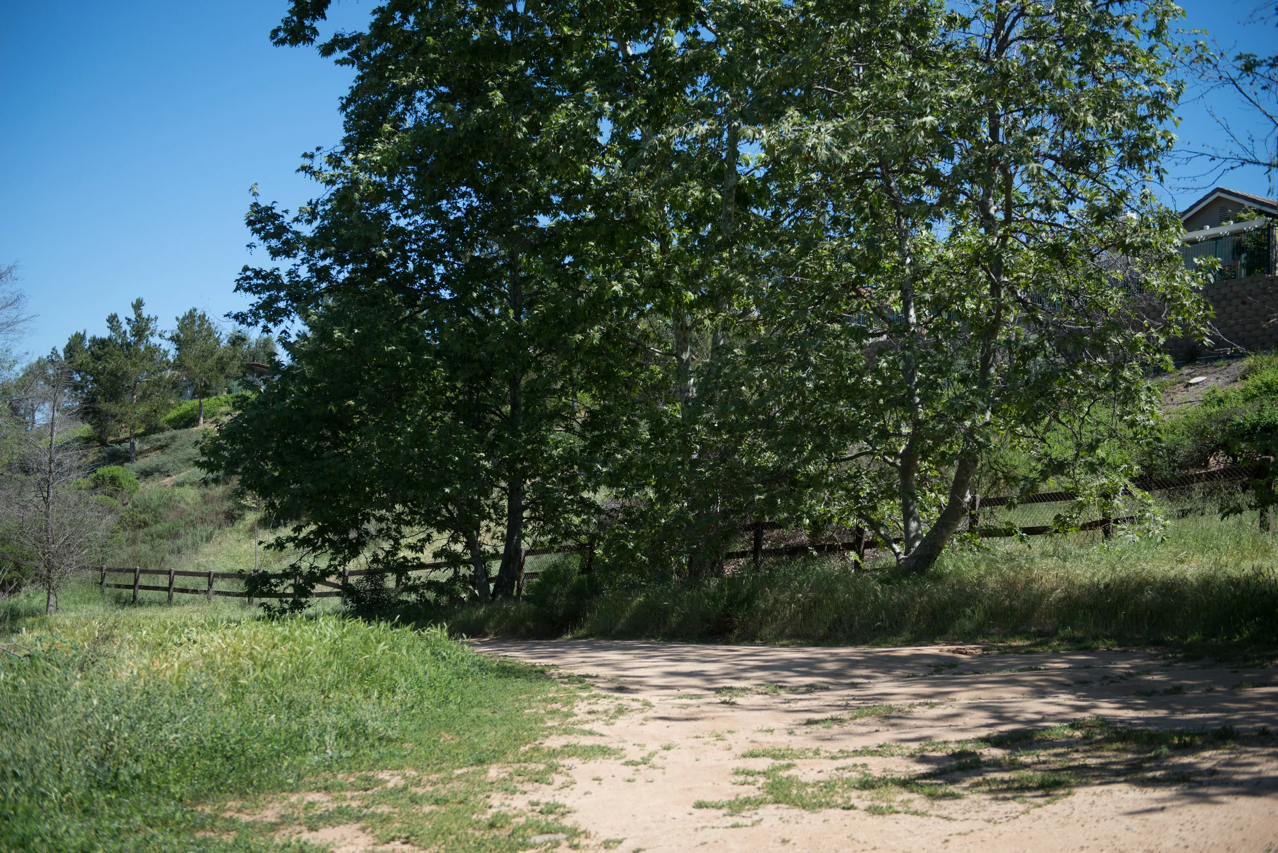 KJ0_7265.jpg