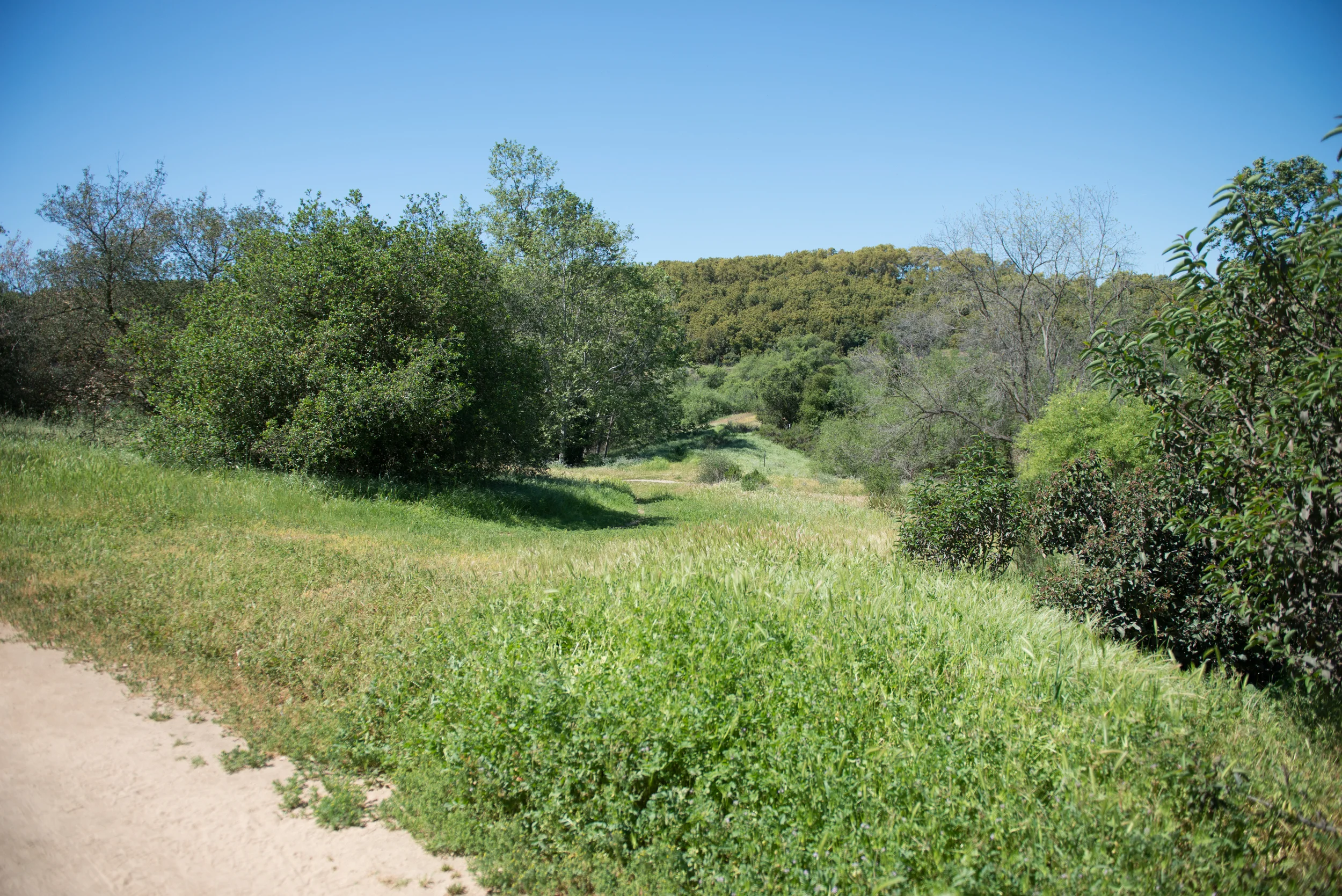 KJ0_7269.jpg