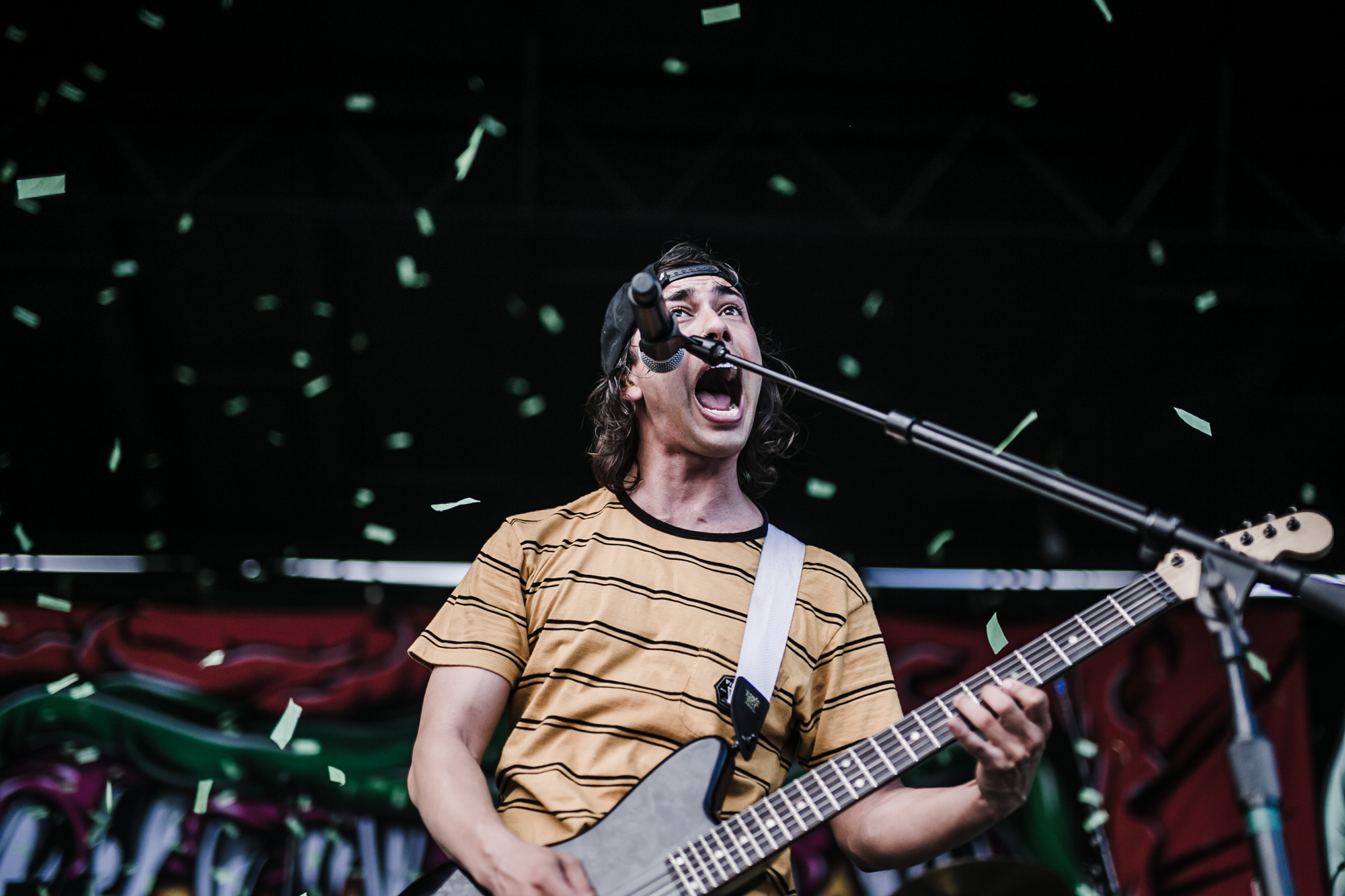 PIERCE THE VEIL