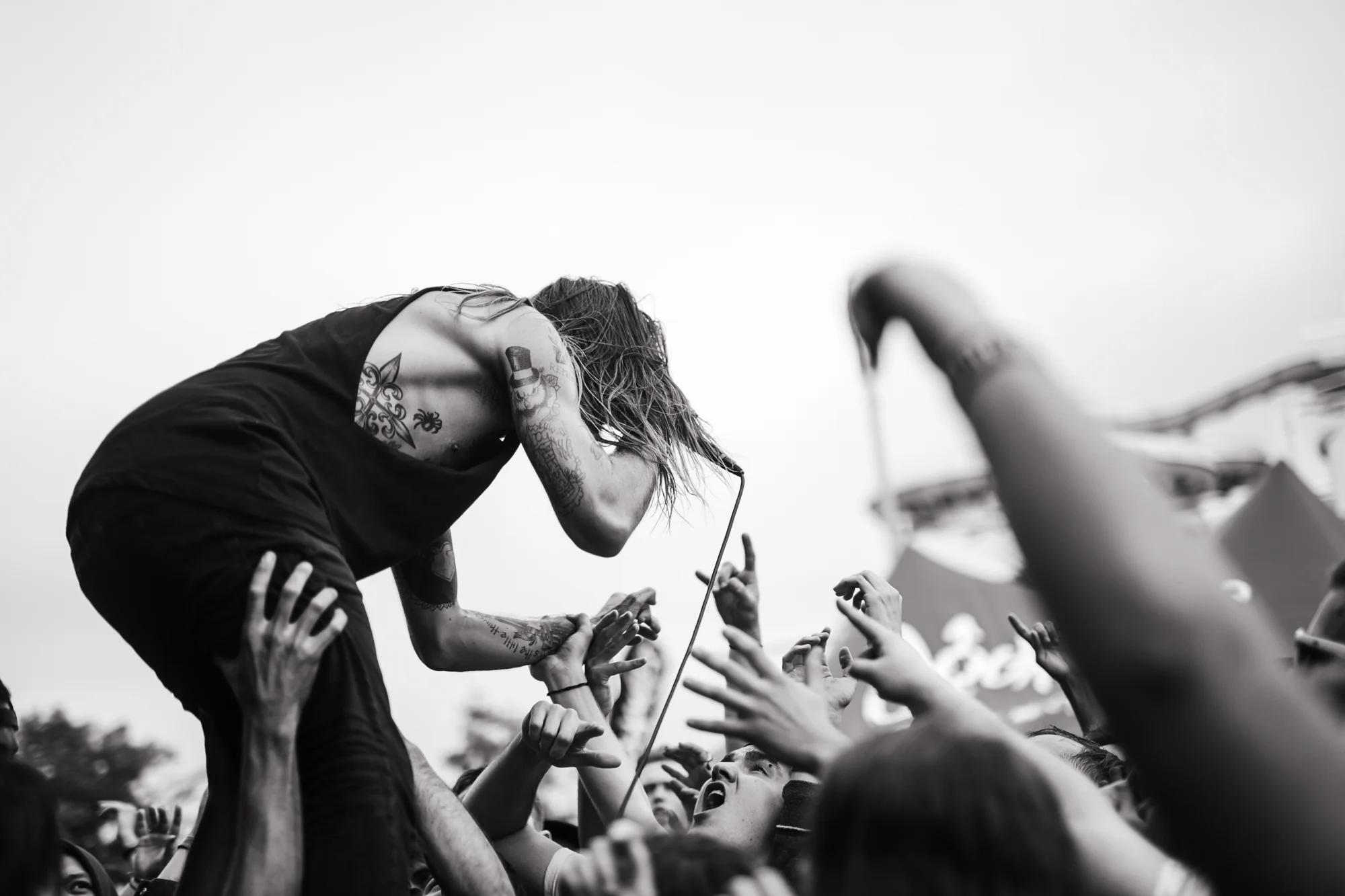 While She Sleeps