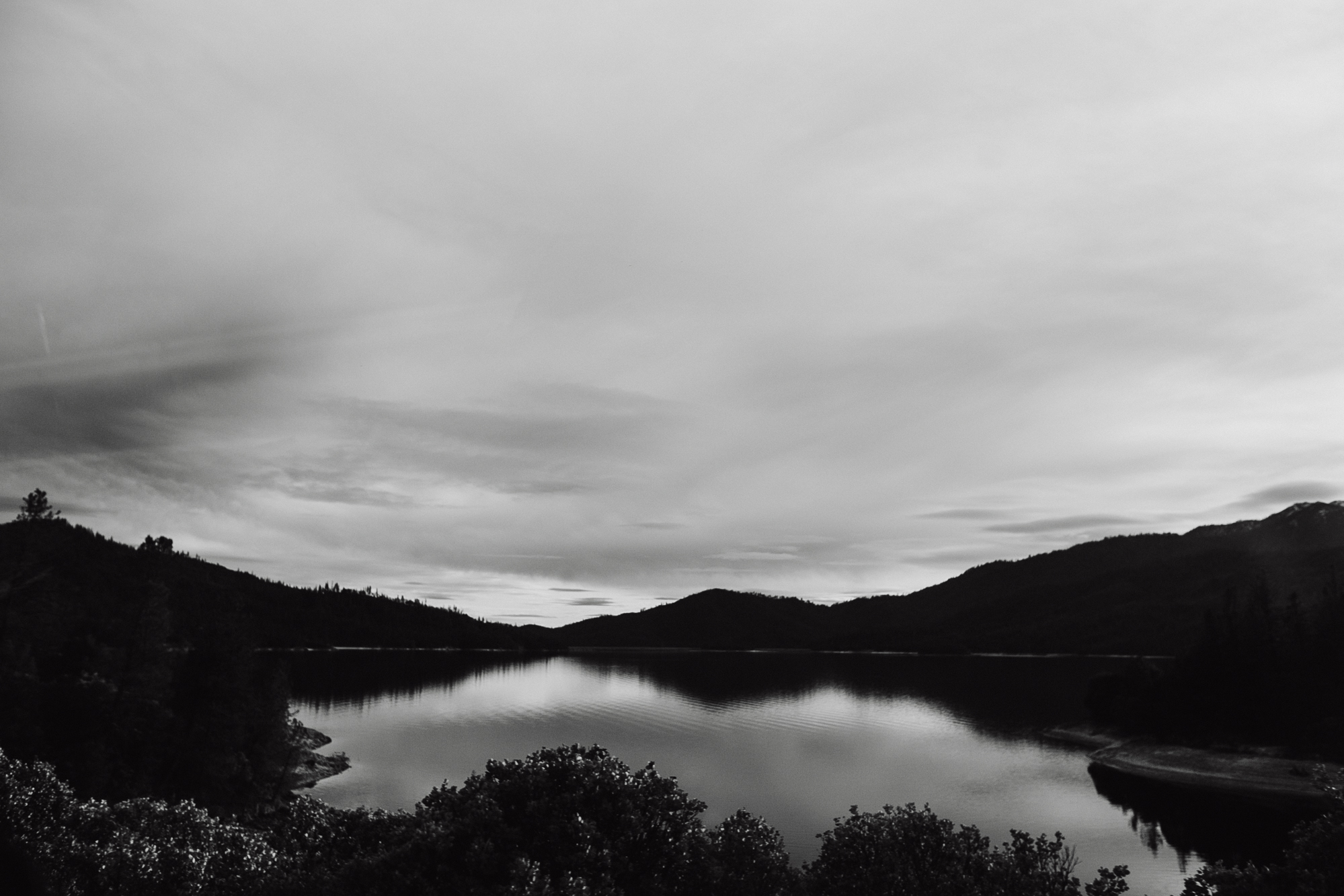 IMG_6442.jpg