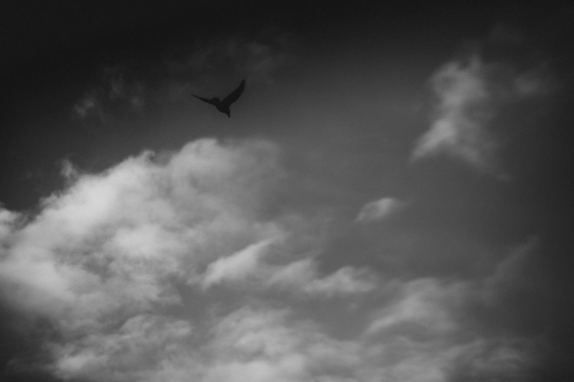 6C9A7047.jpg