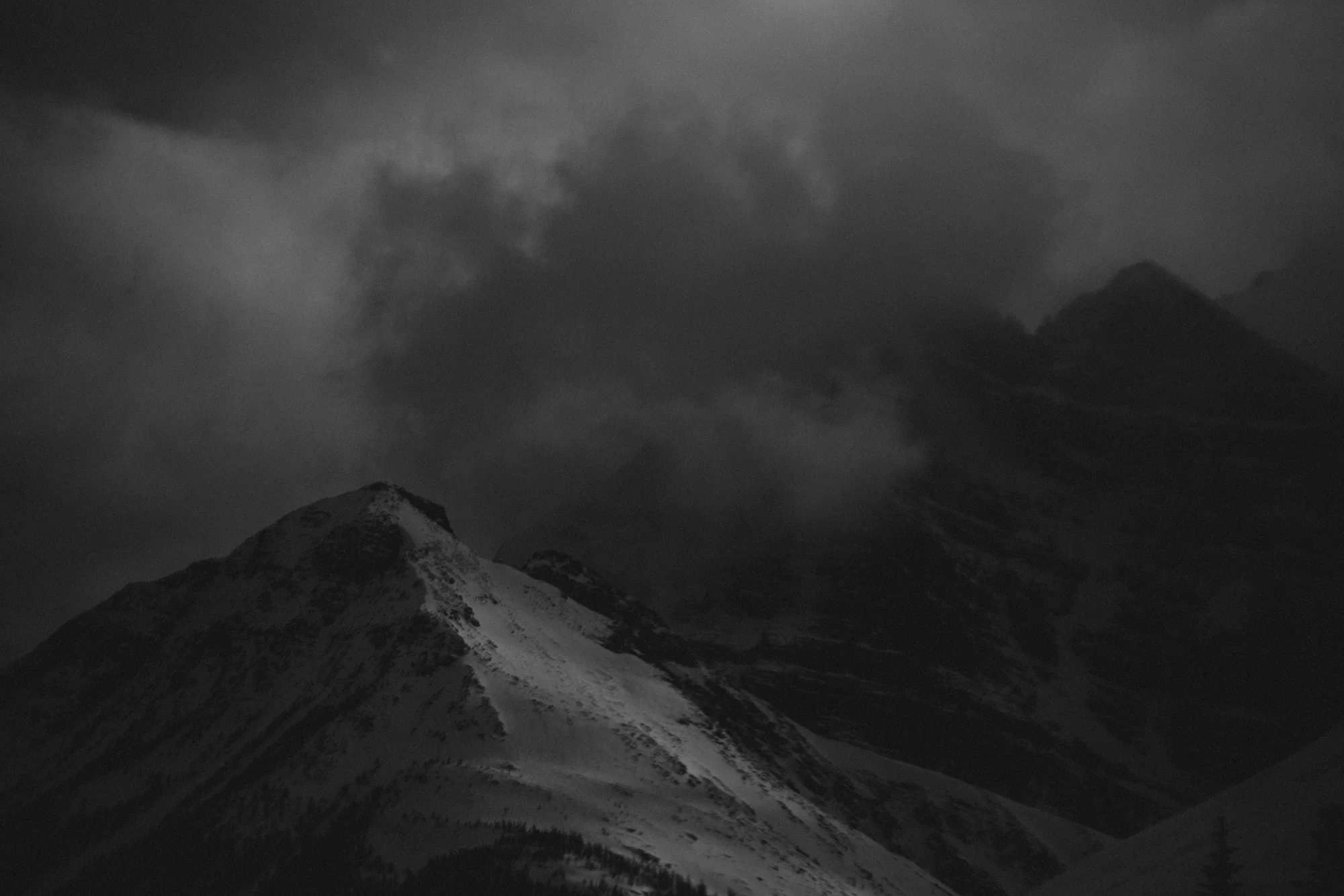 6C9A7103.jpg