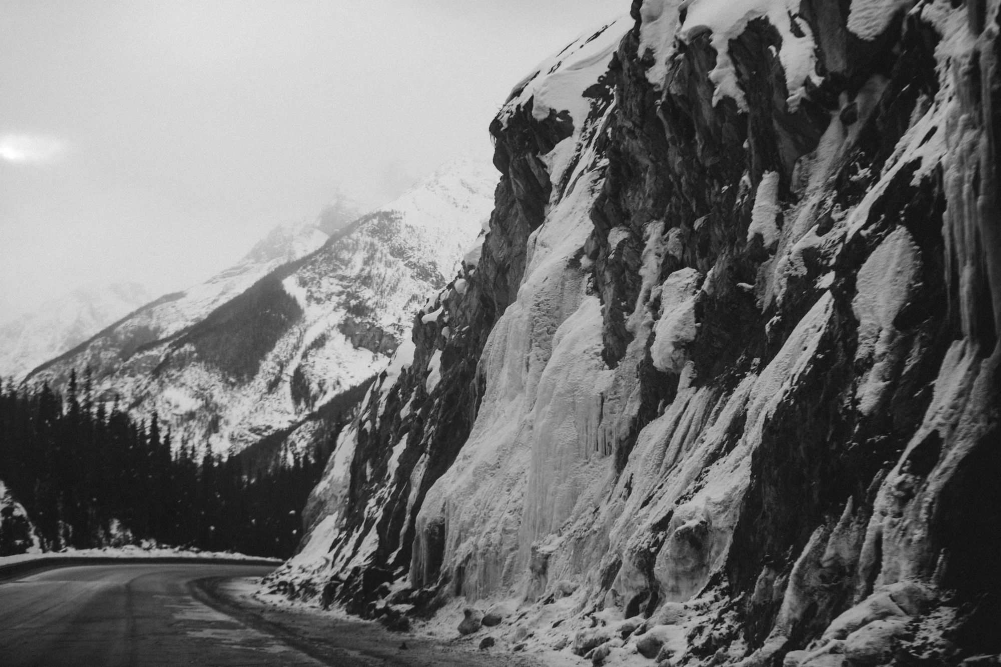 6C9A7298.jpg