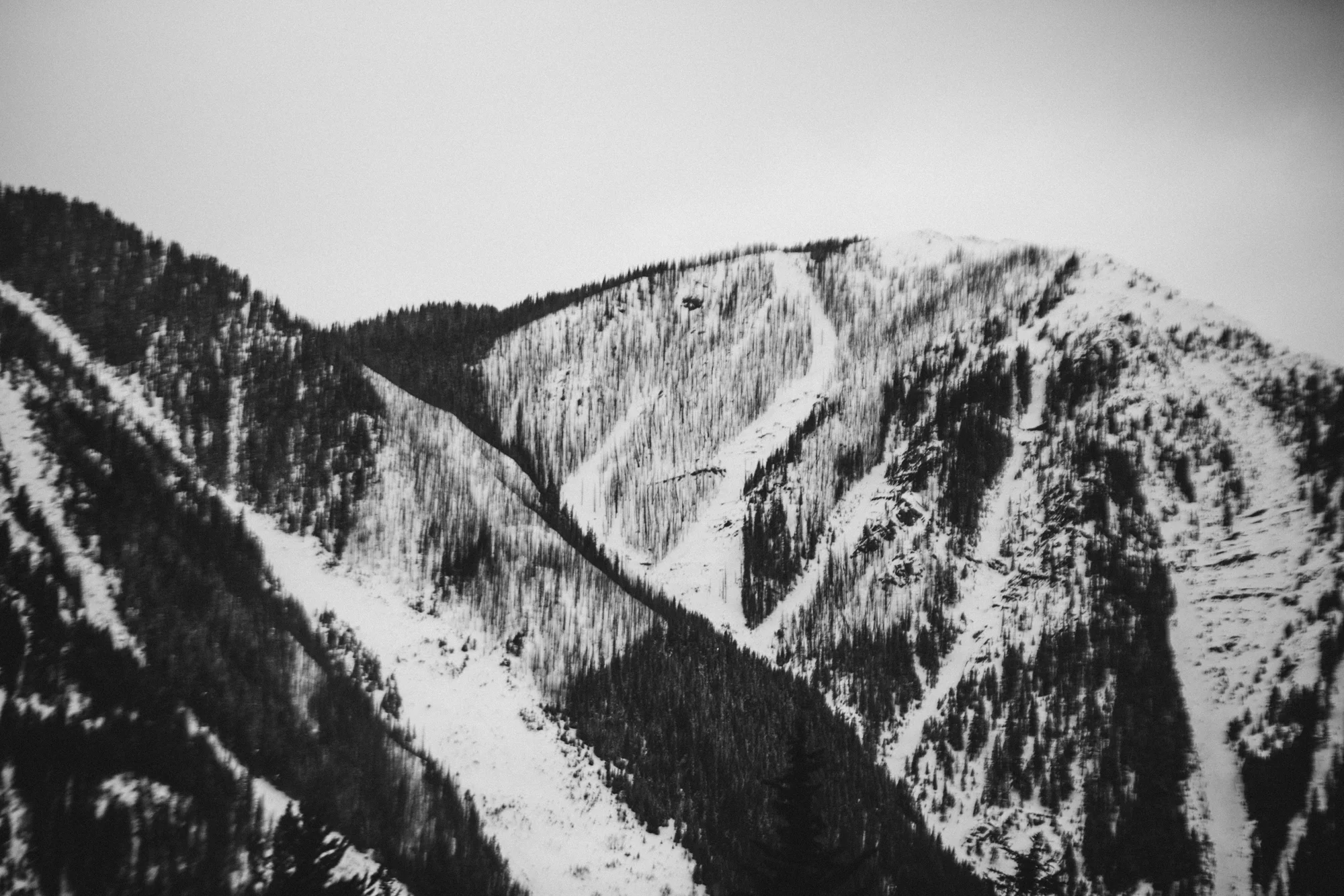 6C9A7398.jpg