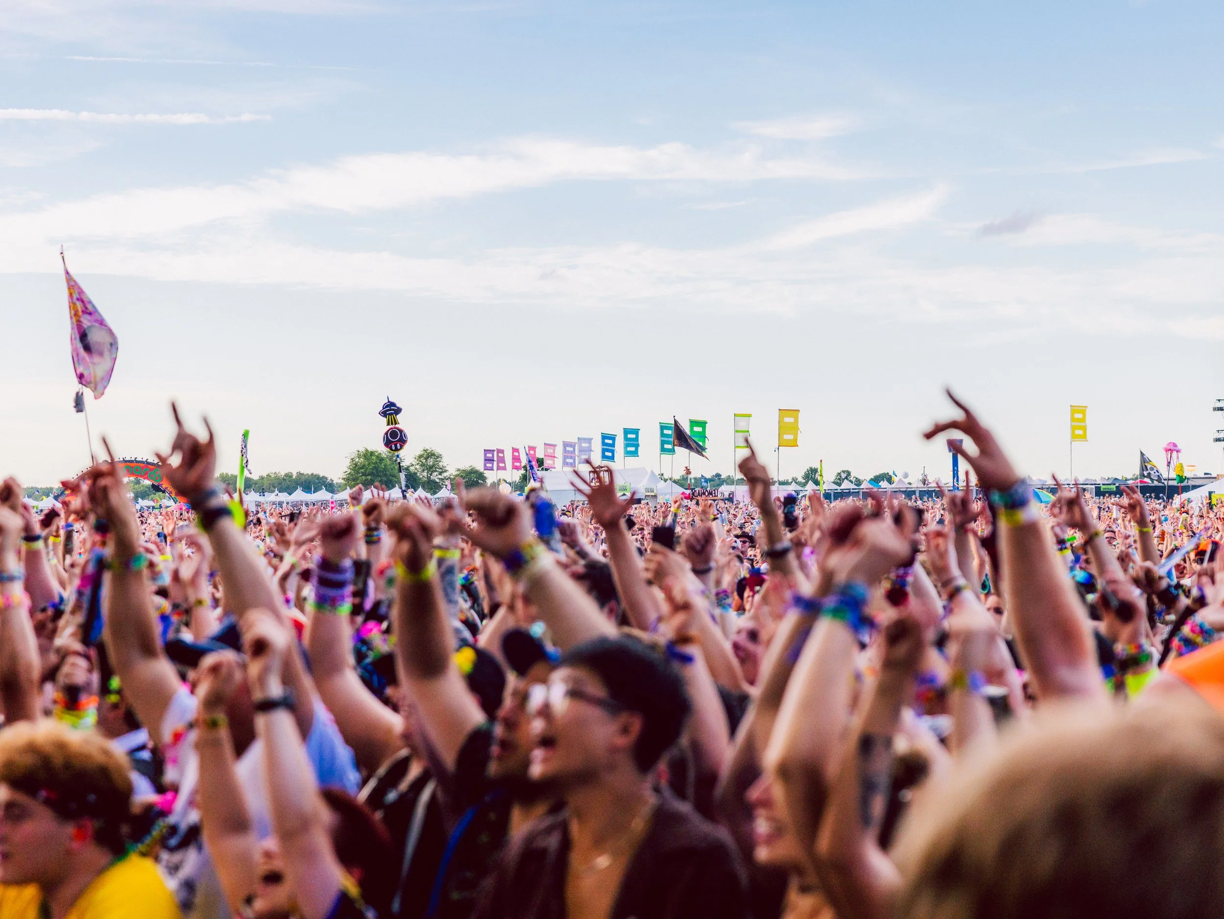 Experience by Ashley Osborn for Bonnaroo 2026-1220.jpg