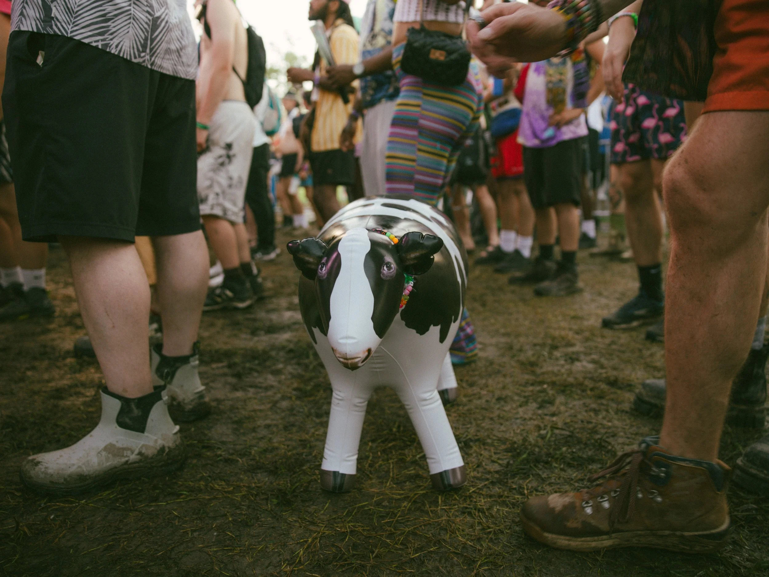 Experience by Ashley Osborn for Bonnaroo 2026-5052.jpg