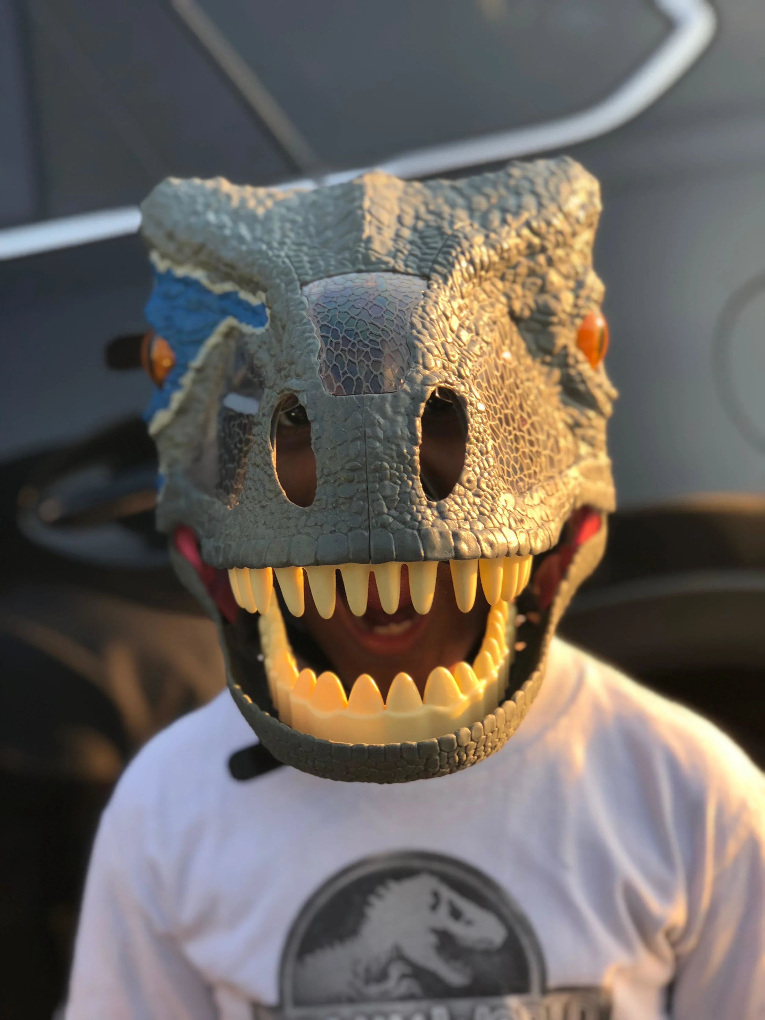 If he ever finds himself out of a job as a dinosaur, his inner sense of wonder and humor can lead him to a job as a … well now, we’ll have to think about this one!