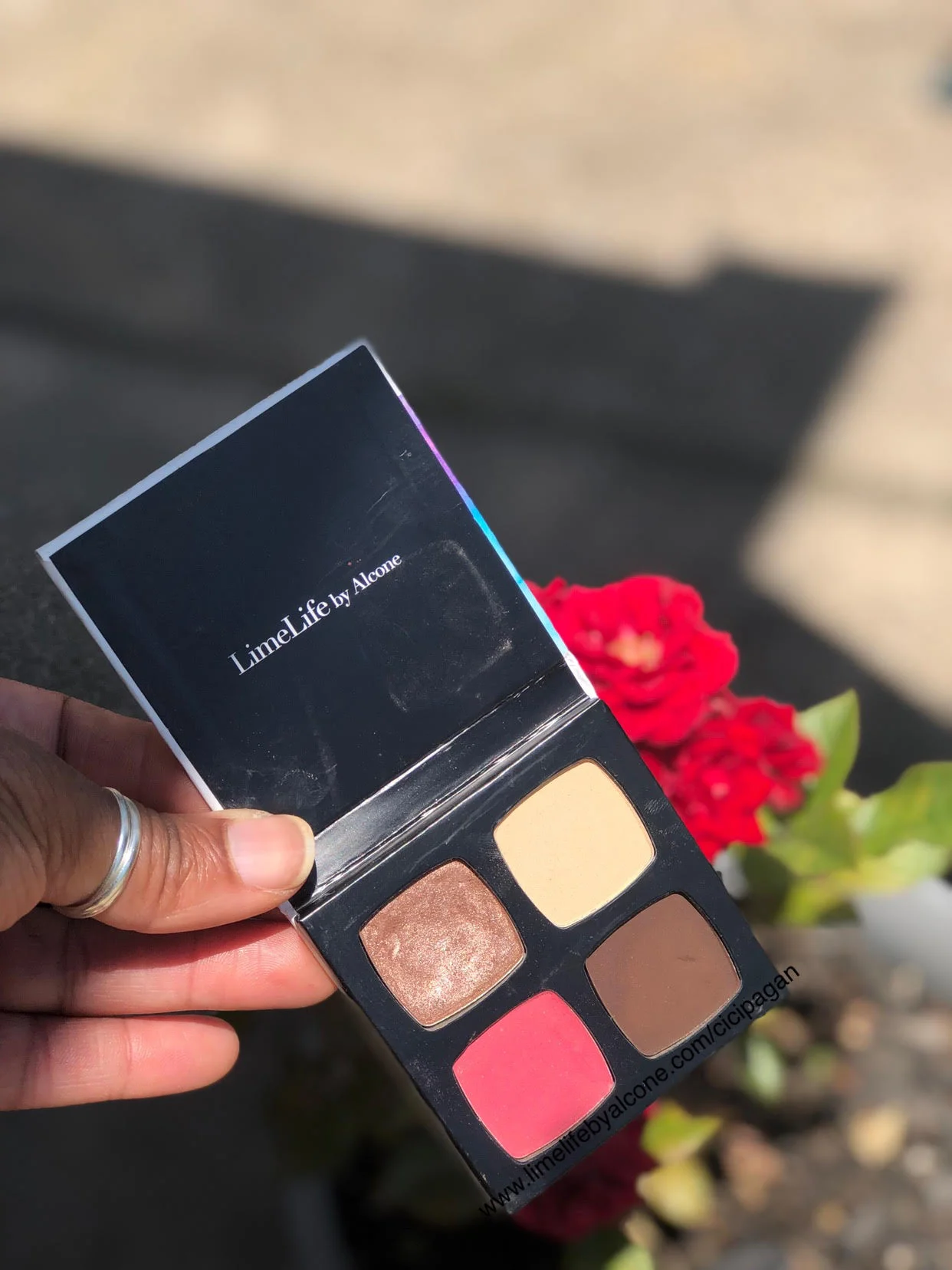 My custom Cocoa Rose Palette
