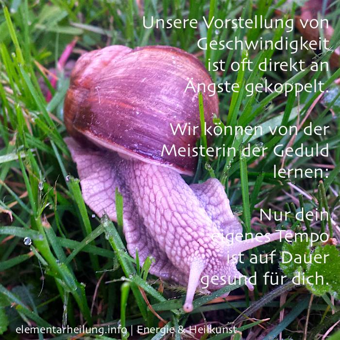 geschwindigkeit eulzer.jpg