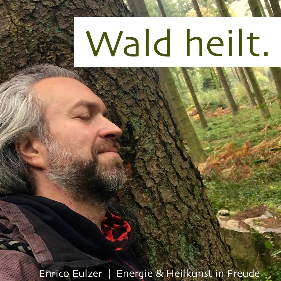 wald heilt.jpg