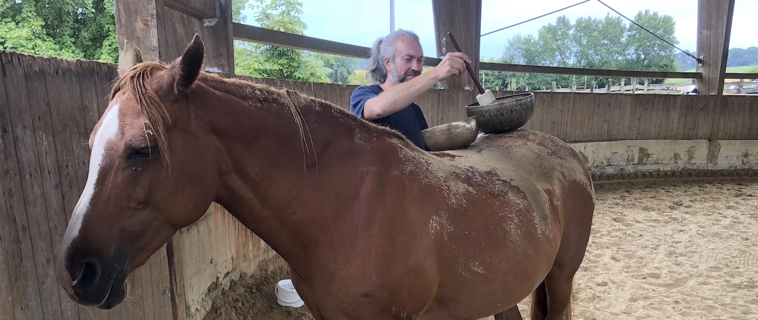 pferd und klang.jpg