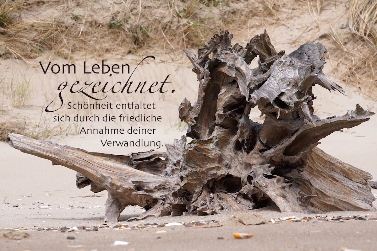 blog enrico eulzer.jpg