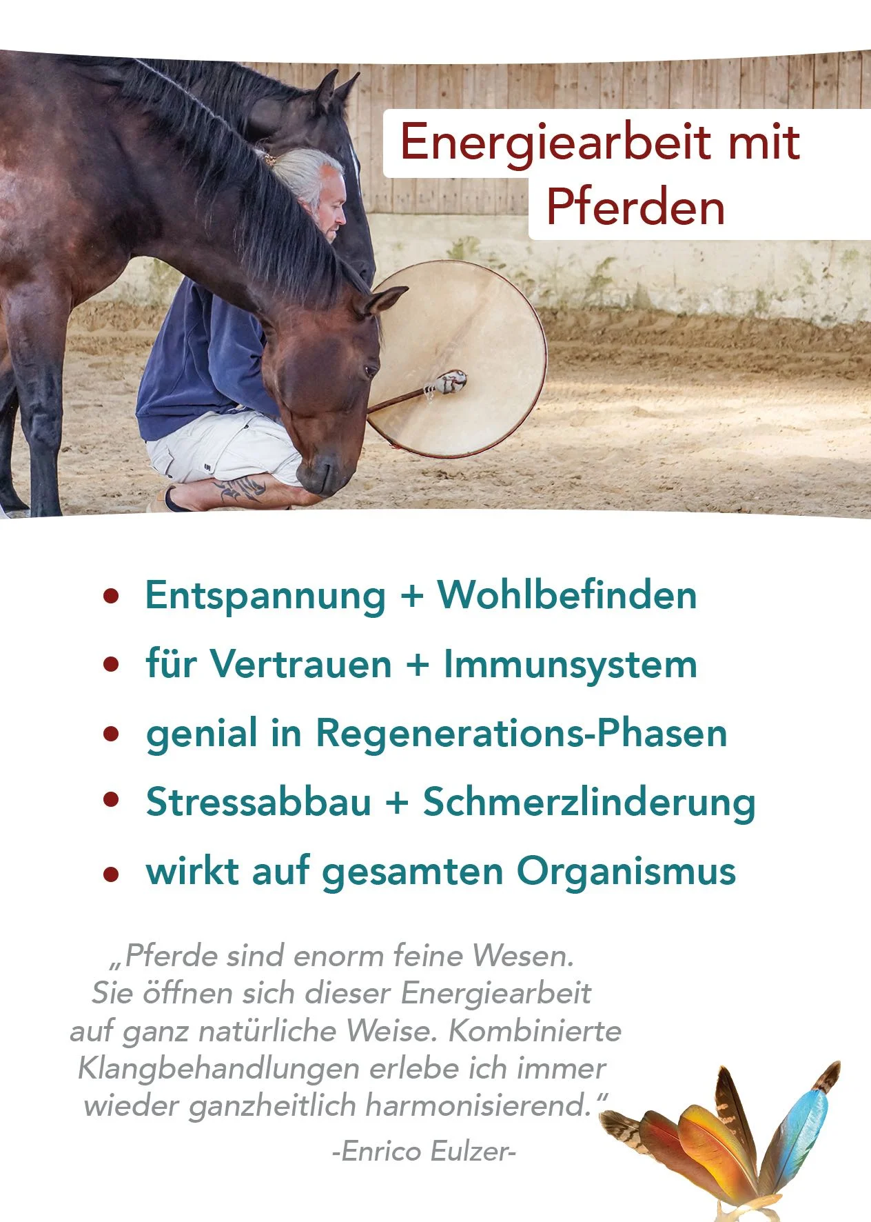 energiearbeit Pferde trier luxemburg.jpg
