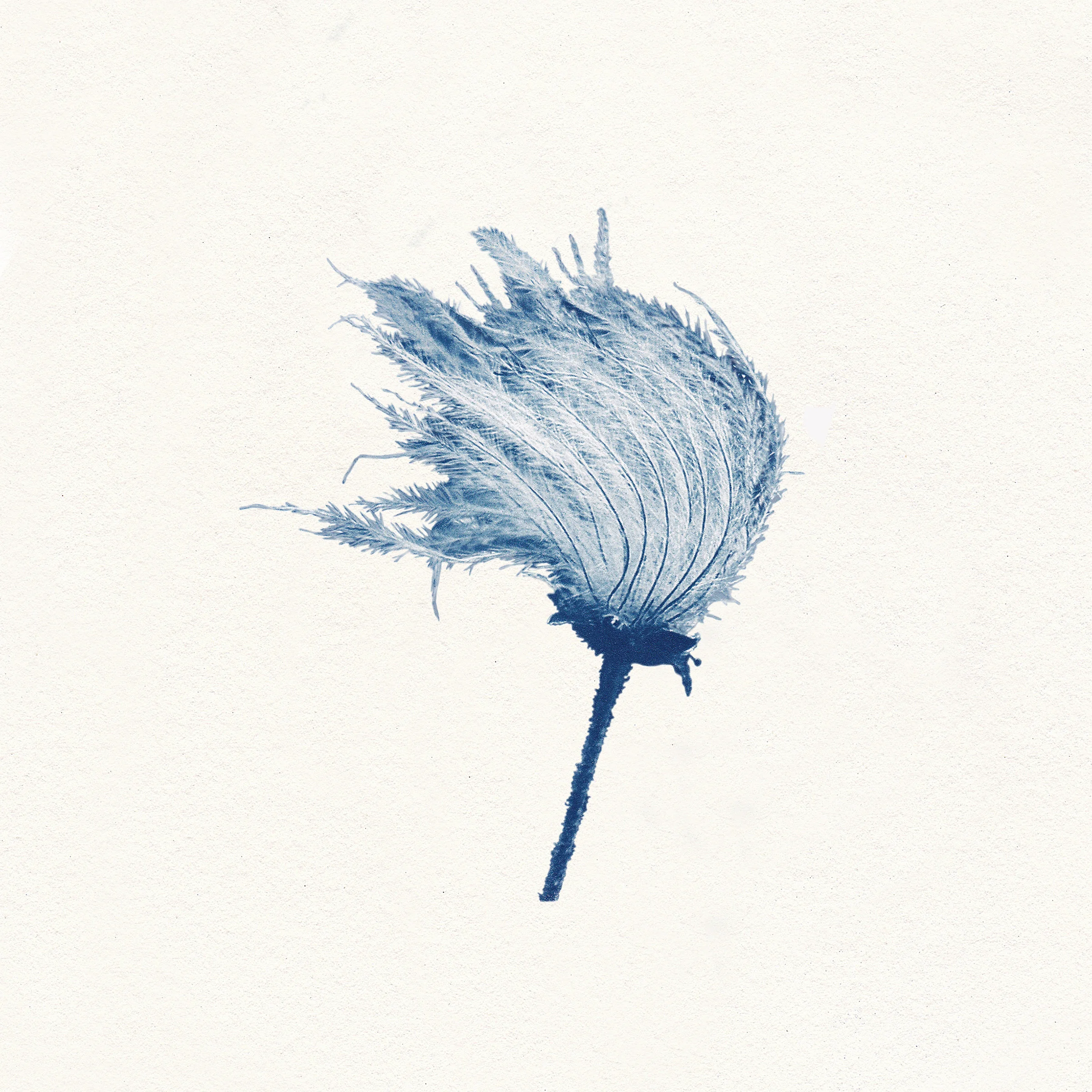 Wanderwild_InDueTime_CoverArt_smaller.jpg