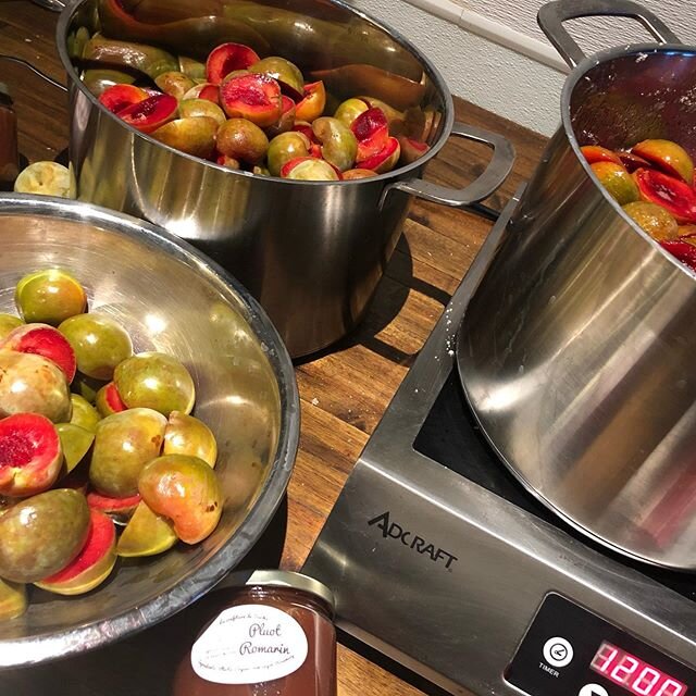 Pluot-rosemary jam in the making.....
#homemade #jam #french #organic #bestoflasvegas2019 
@lamaisondemaggie