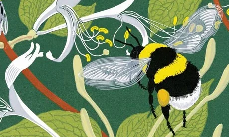 Les voyages naturalistes