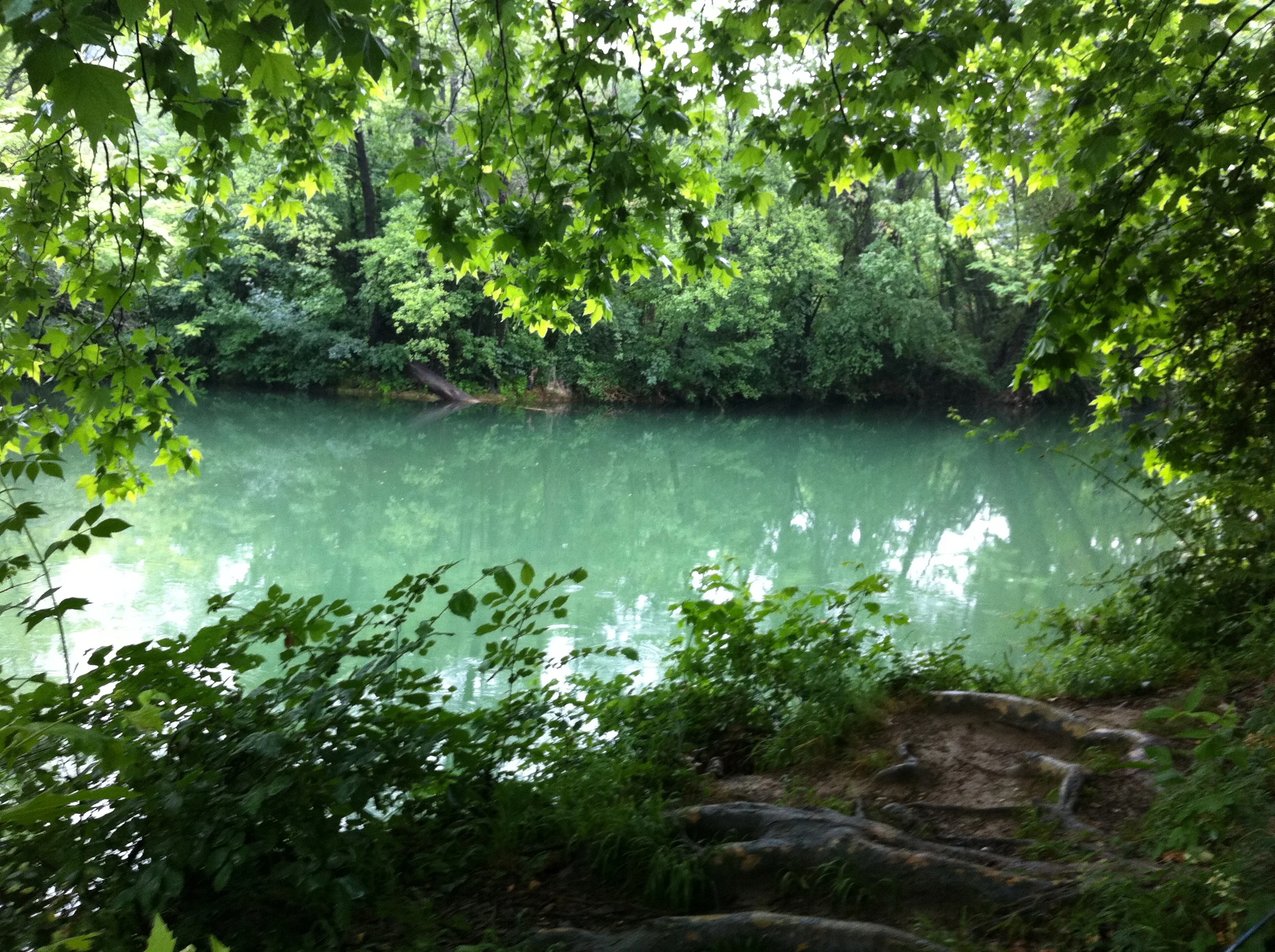 Le long du Fleuve, le Lez à Castelnau