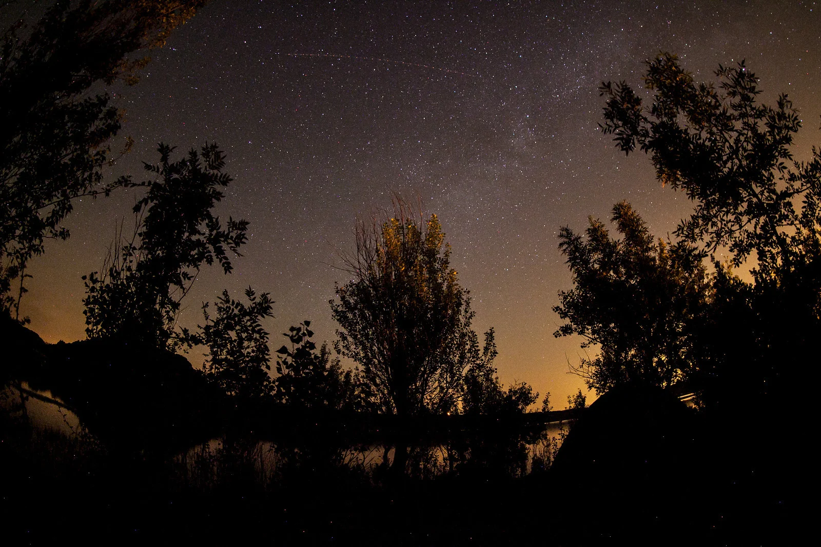 Soirée d'observation