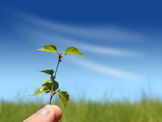 Neurophysiologie - Le suicide : prise de décision ou pathologie ?