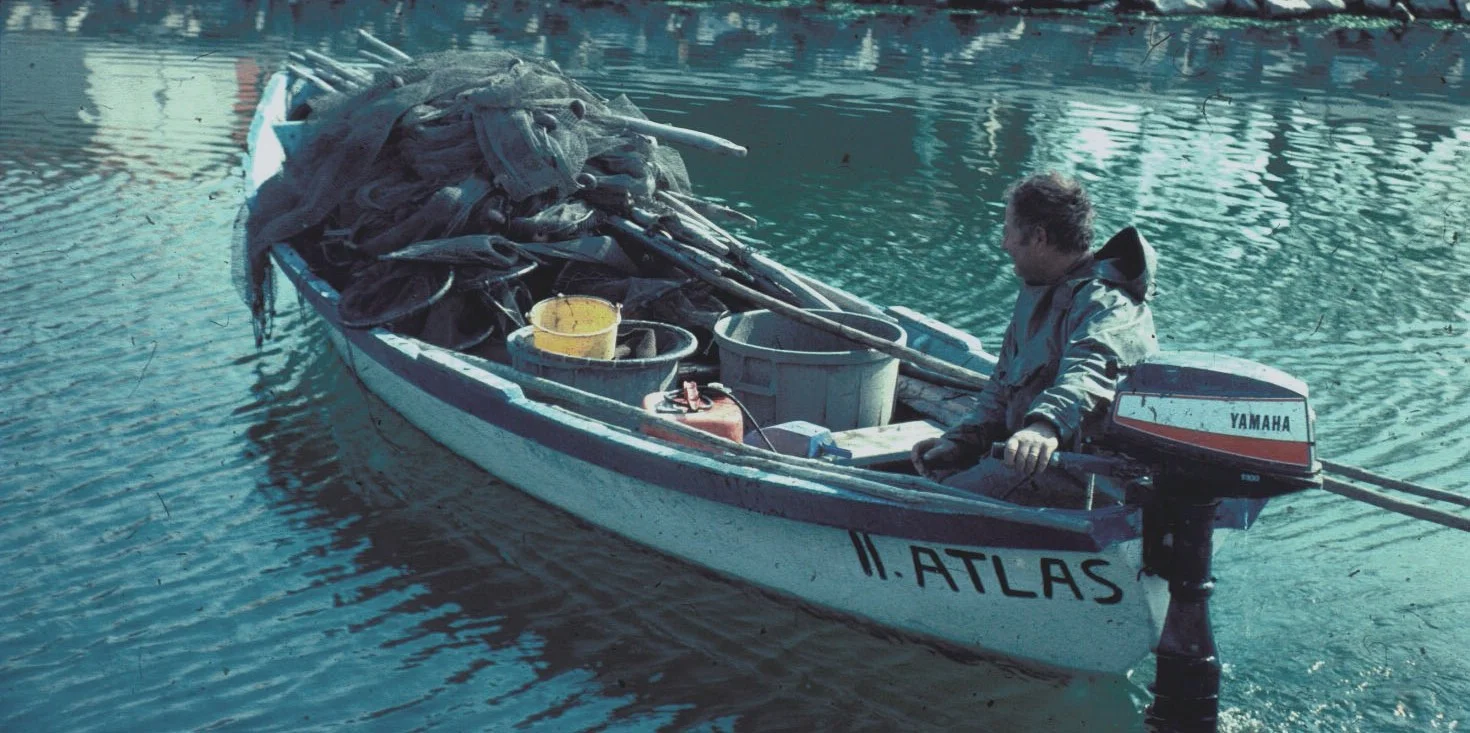 La pêche dans les étangs languedociens… savoir faire
