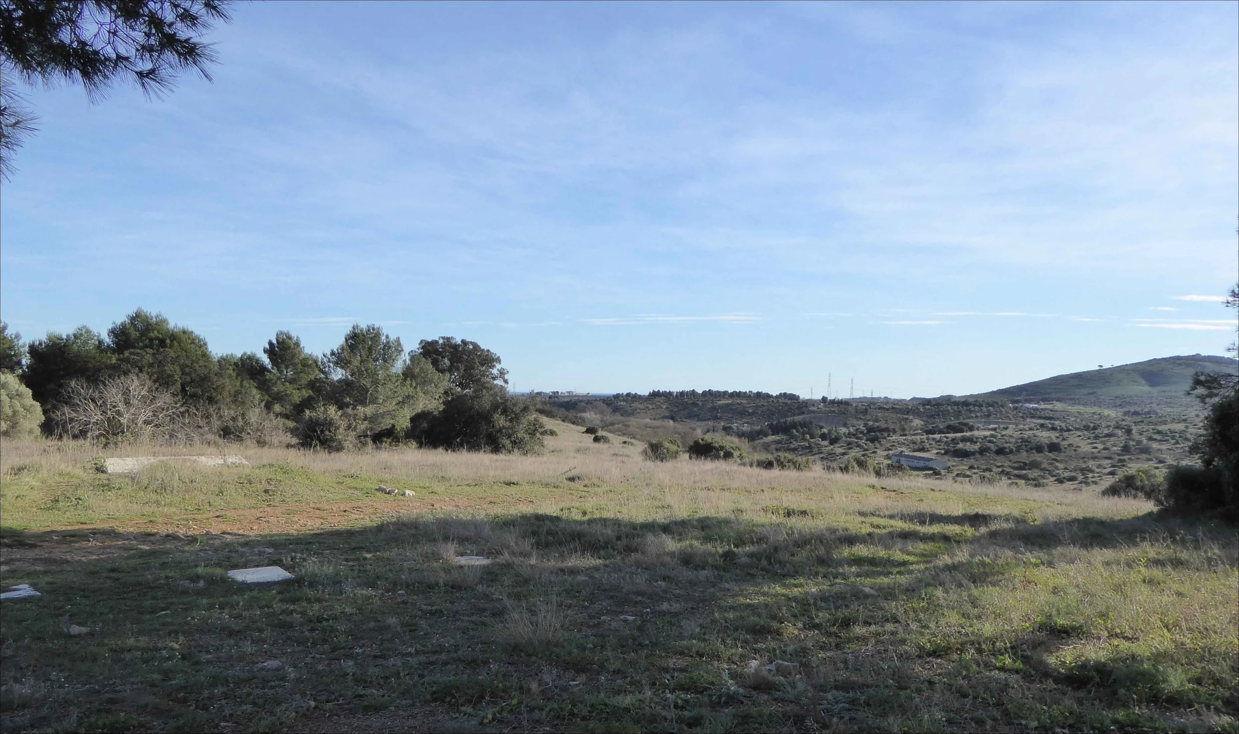 Découverte Naturaliste: Initiation à la Botanique, premières découvertes.