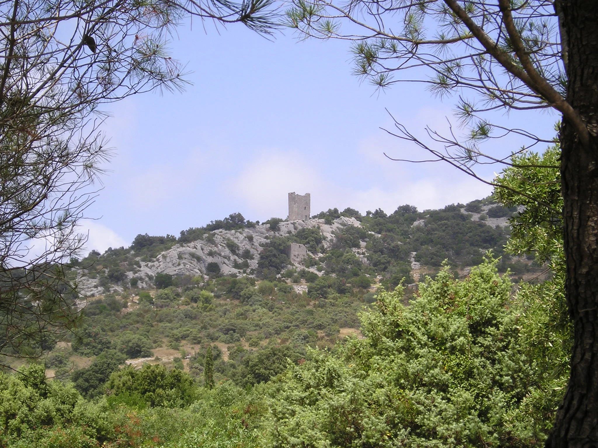 Les deux tours carrées de Cazevieille