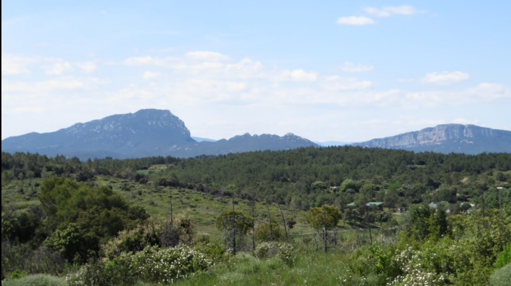 Pinceau en balade: Vue sur le Pic St Loup