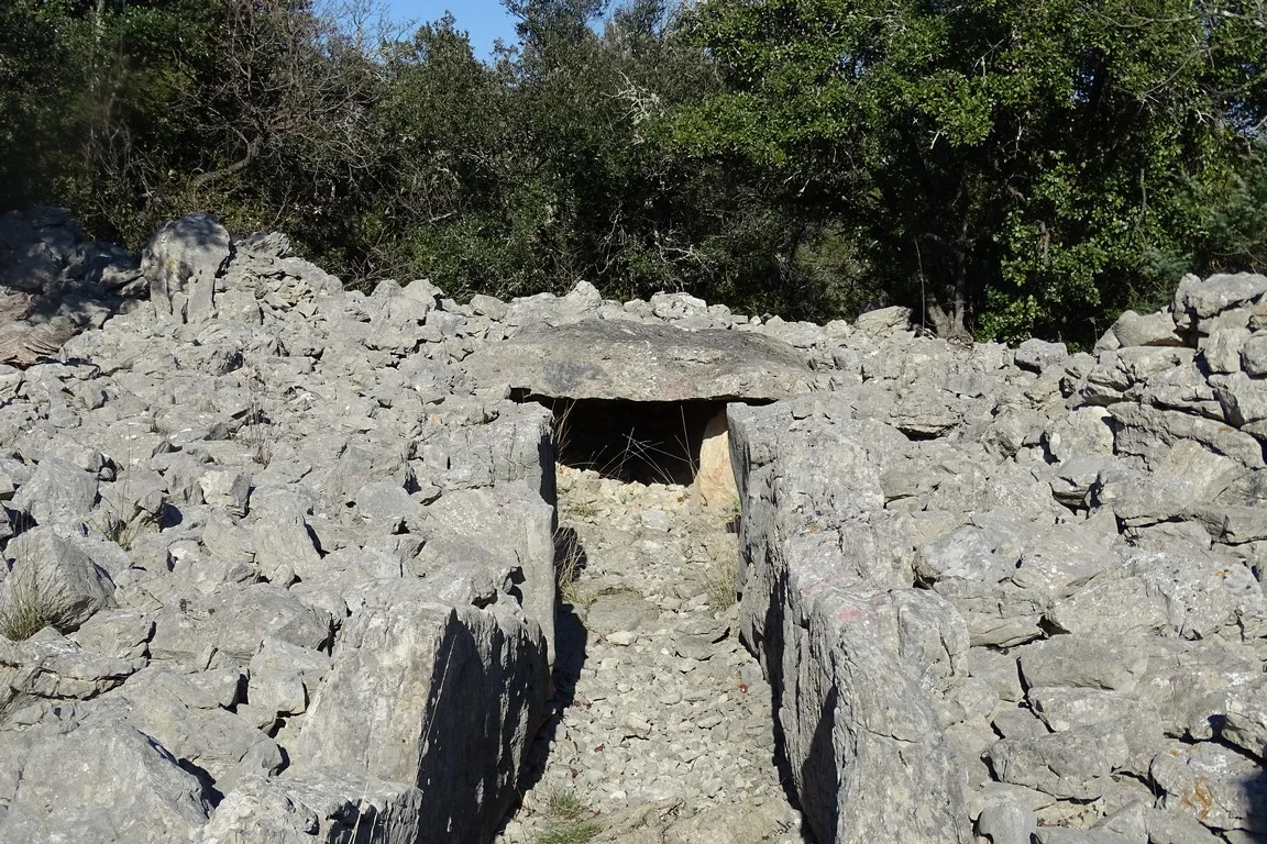 "Autour de Viols le Fort, le chemin des drailles" avec Robert Carde